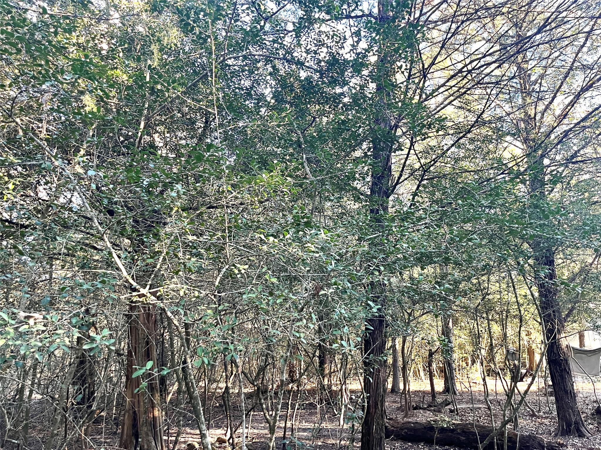 194 Split Oak Rd, Smithville, TX 78957