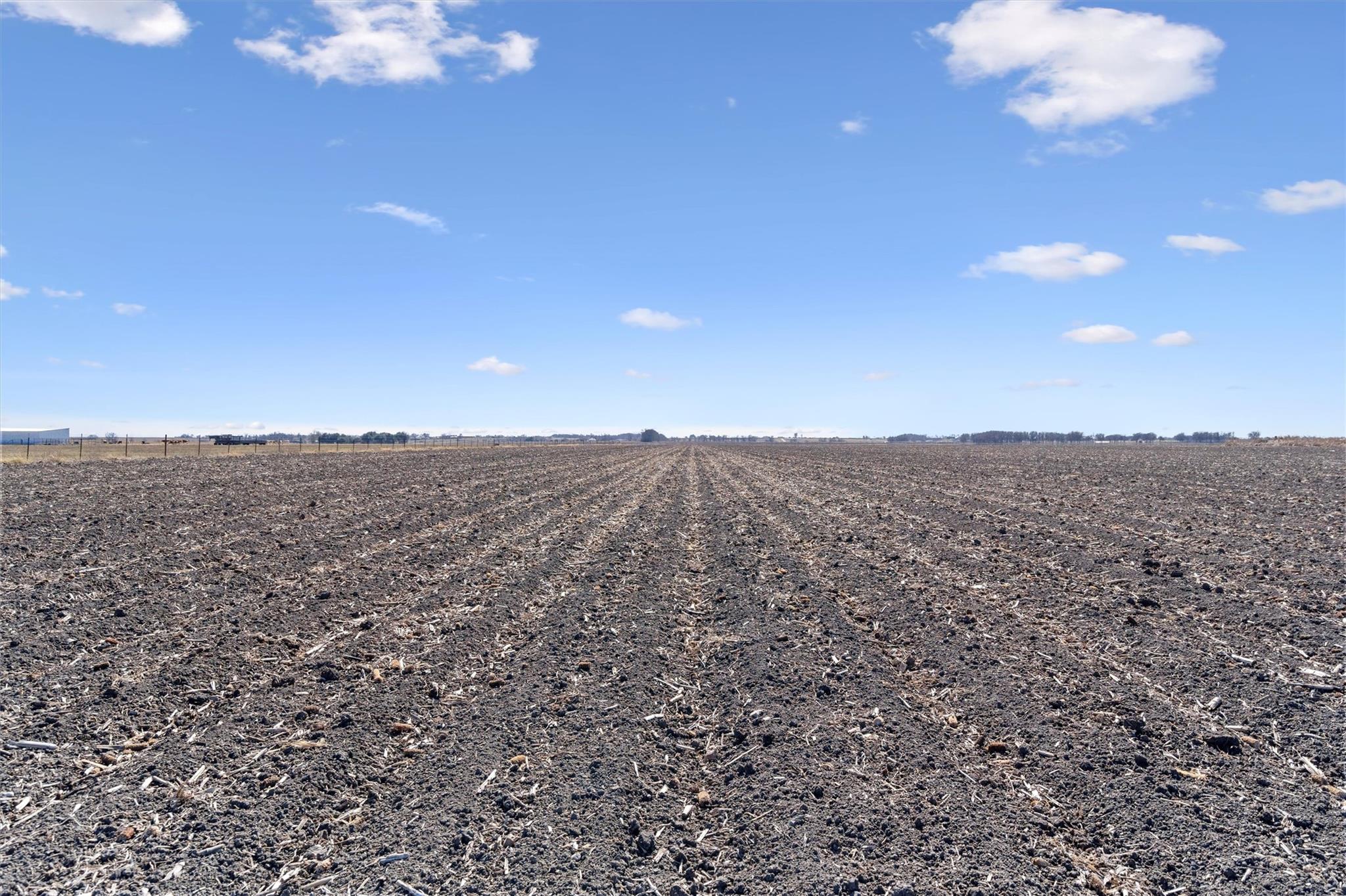 TBD FM 1331, Taylor, TX 76574