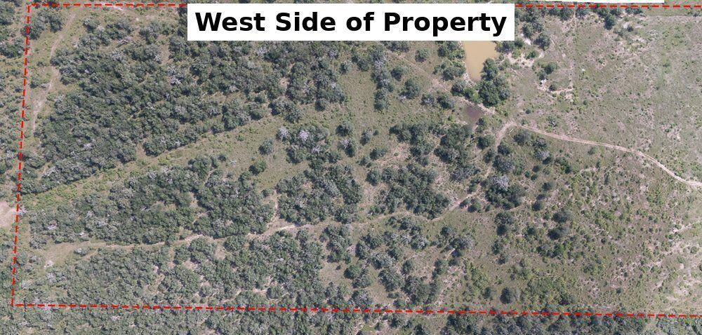 000 County Road 420, Waelder, TX 78959