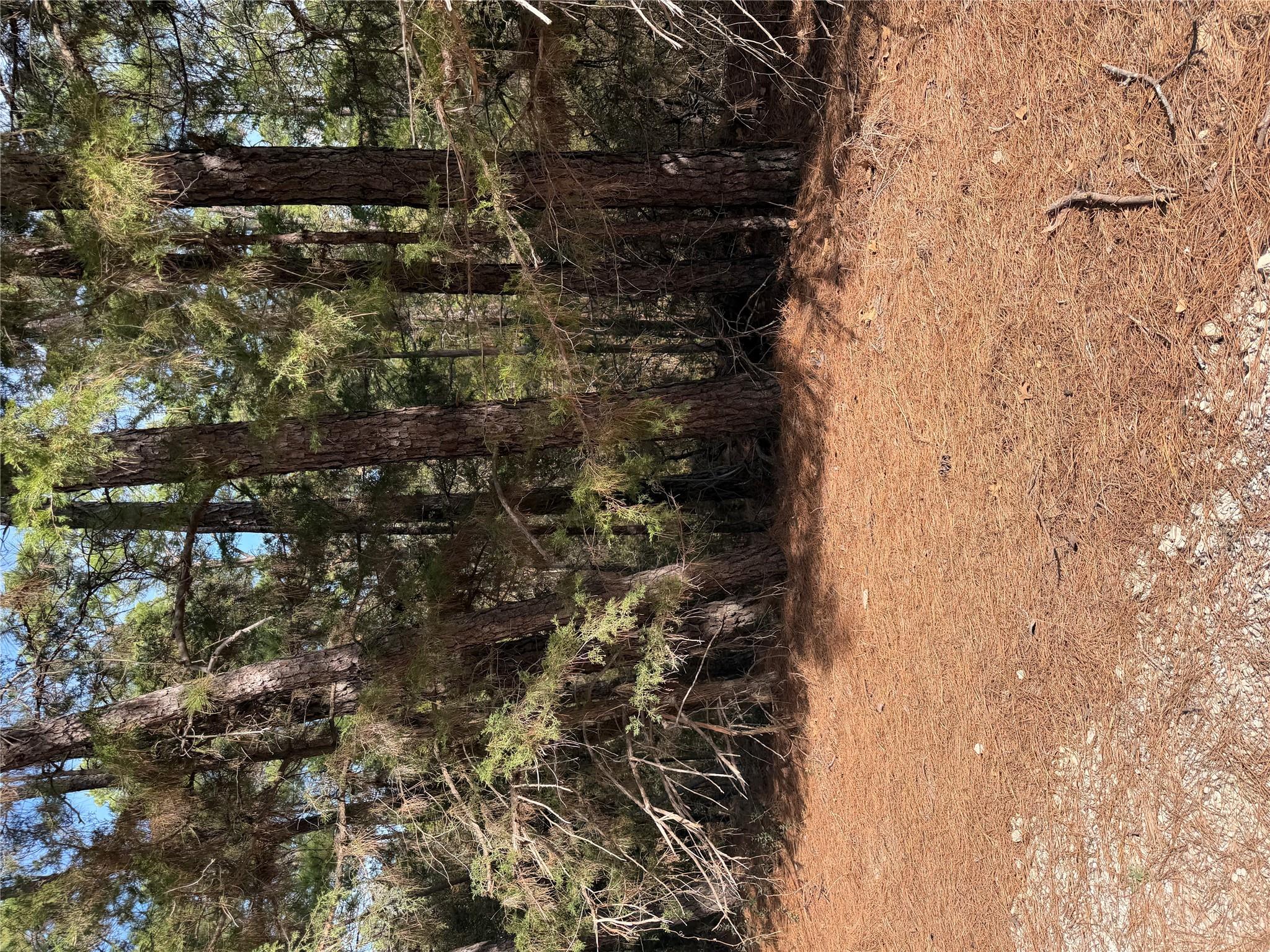 Lot 266 Wainee Dr, Bastrop, TX 78602