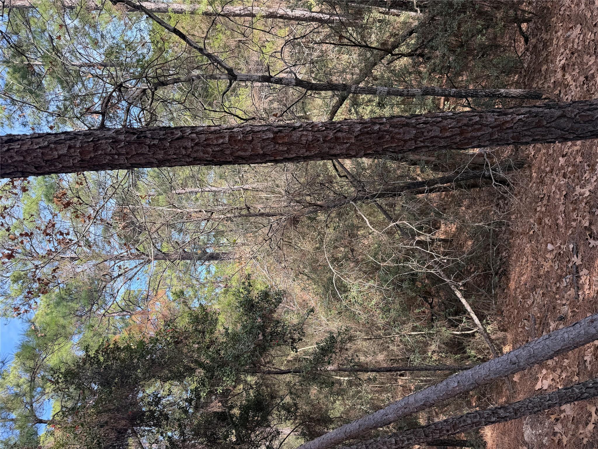 Lot 266 Wainee Dr, Bastrop, TX 78602