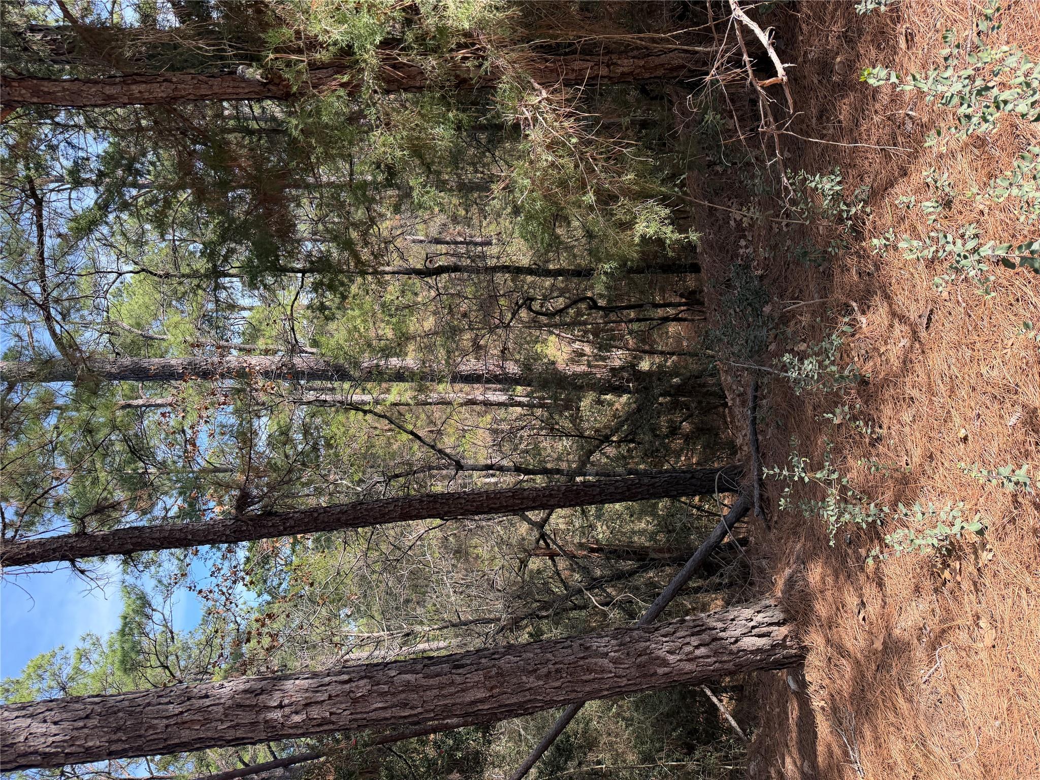 Lot 266 Wainee Dr, Bastrop, TX 78602