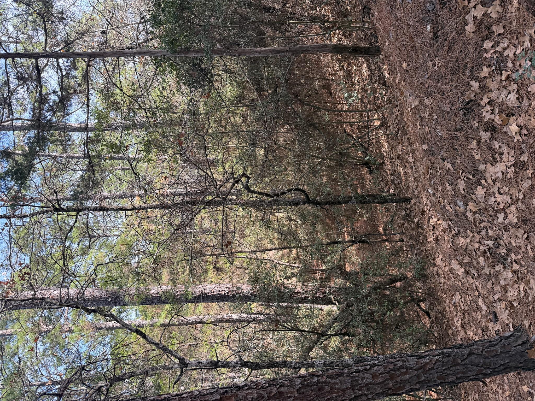 Lot 266 Wainee Dr, Bastrop, TX 78602