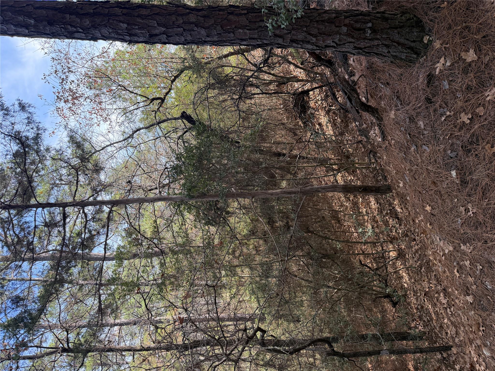 Lot 266 Wainee Dr, Bastrop, TX 78602