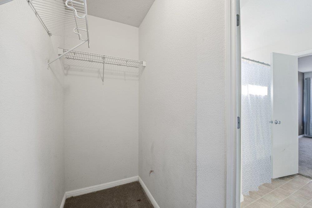 173 Peppergrass Cv, Kyle, TX 78640