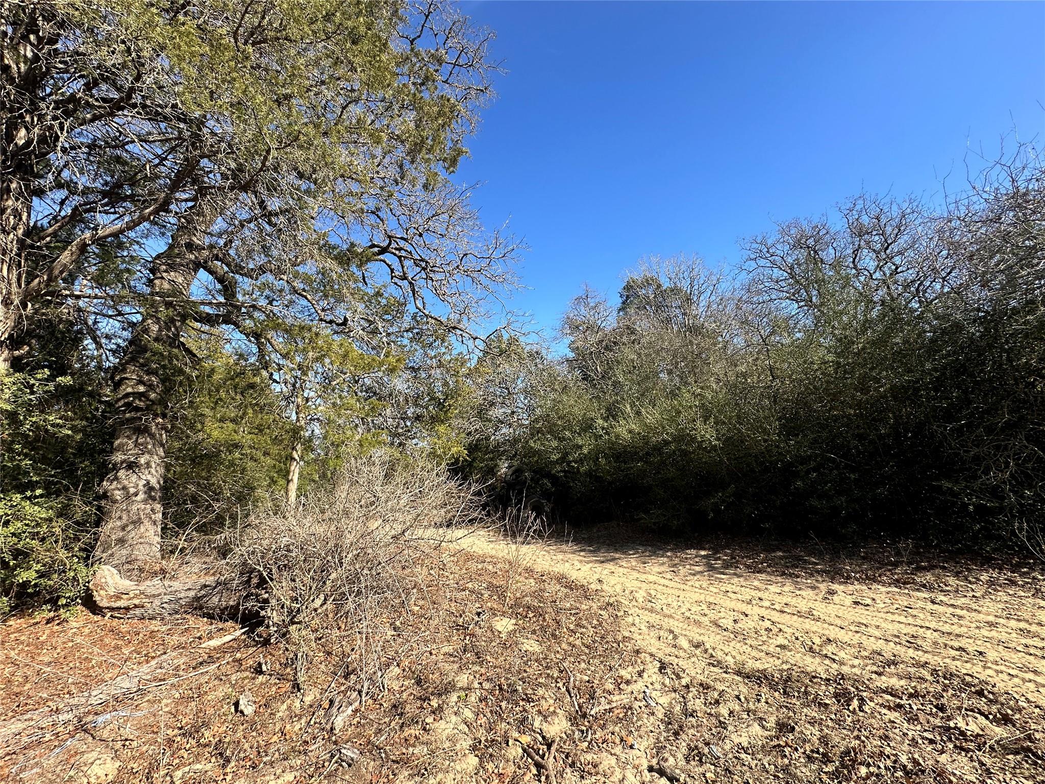 1085 Private Road 3063, Lexington, TX 78947