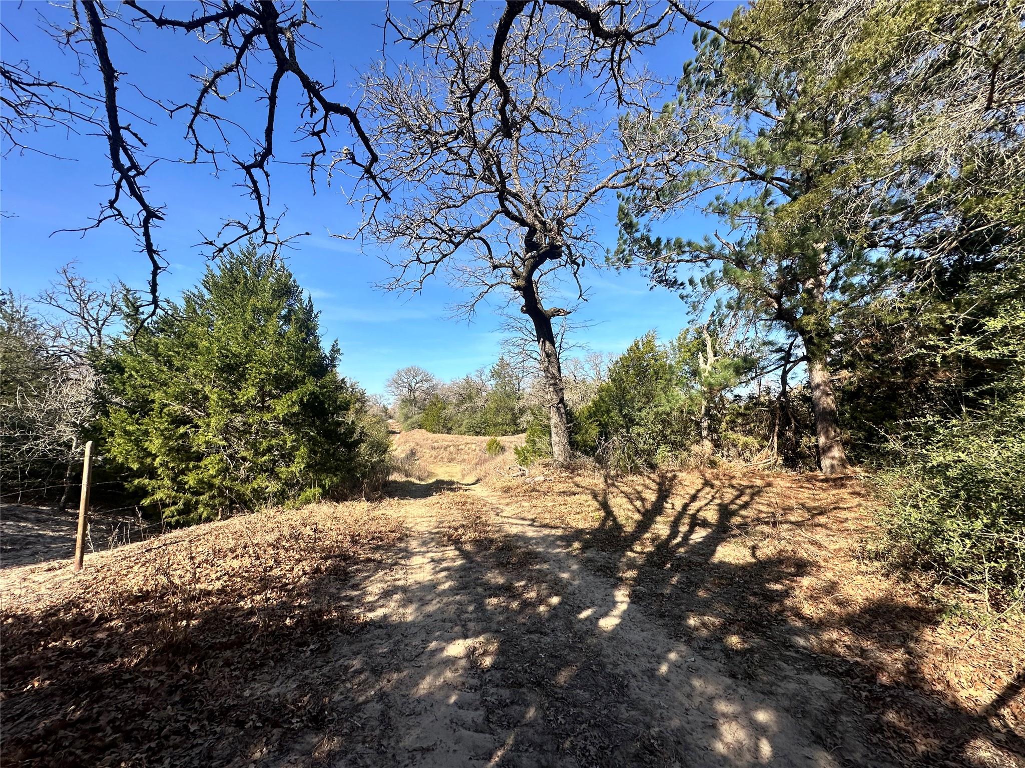 1085 Private Road 3063, Lexington, TX 78947