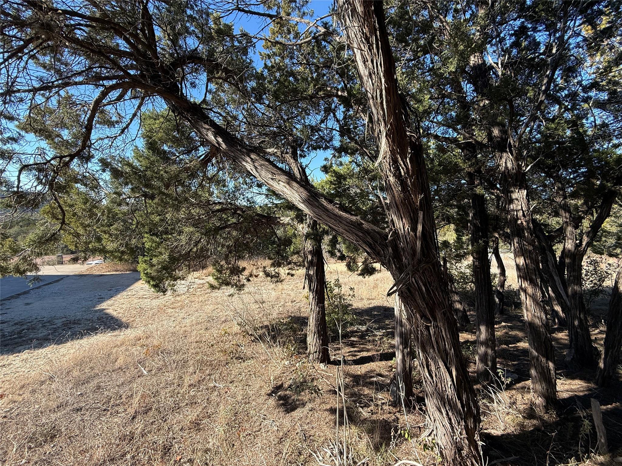 14410 Geronimo, Leander, TX 78641