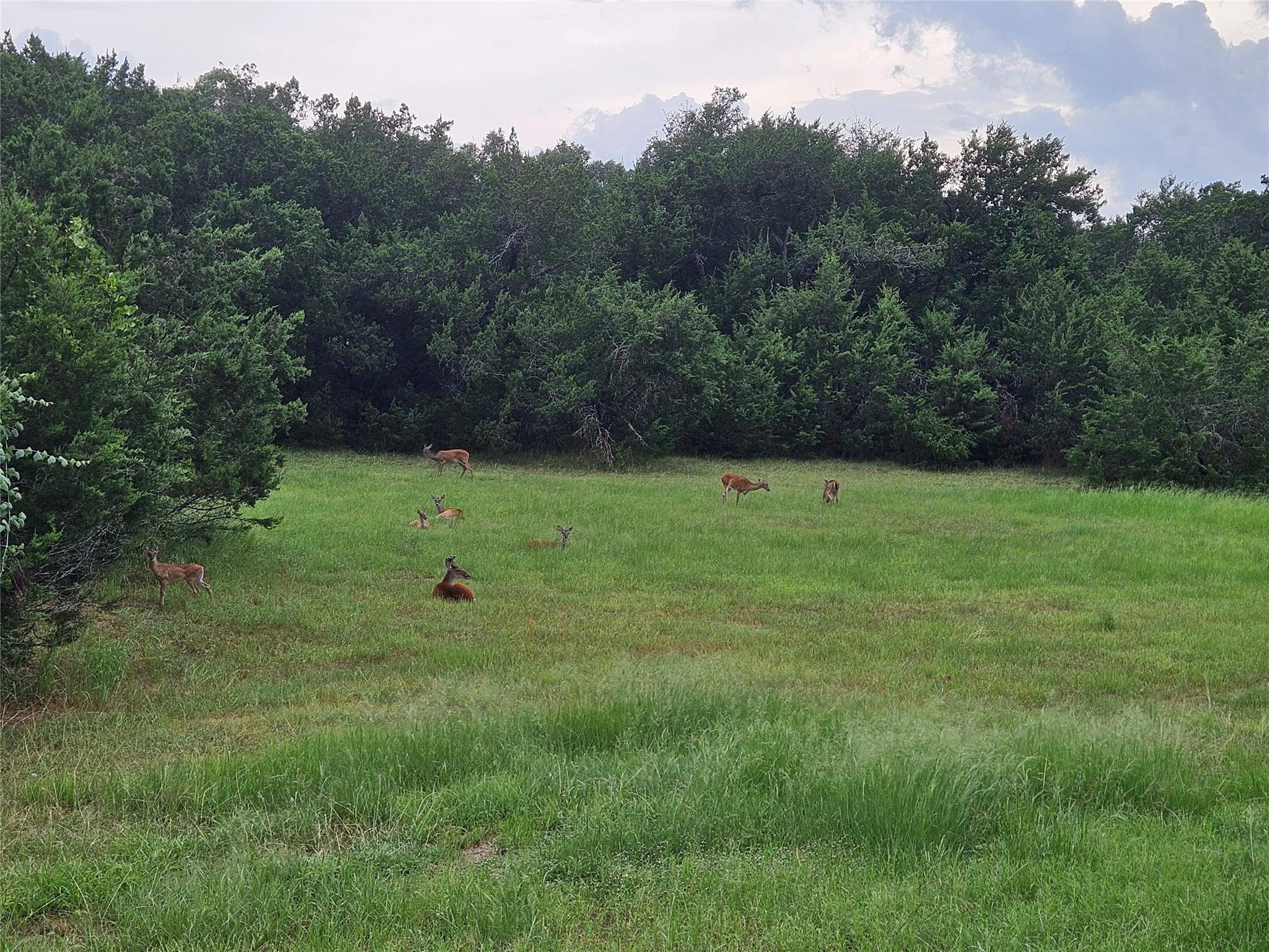 290 Harris Dr, Austin, TX 78737