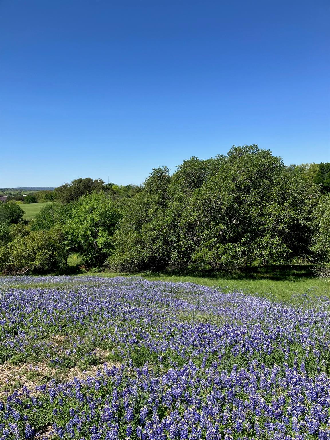 106 Ridgeway, Horseshoe Bay, TX 78657