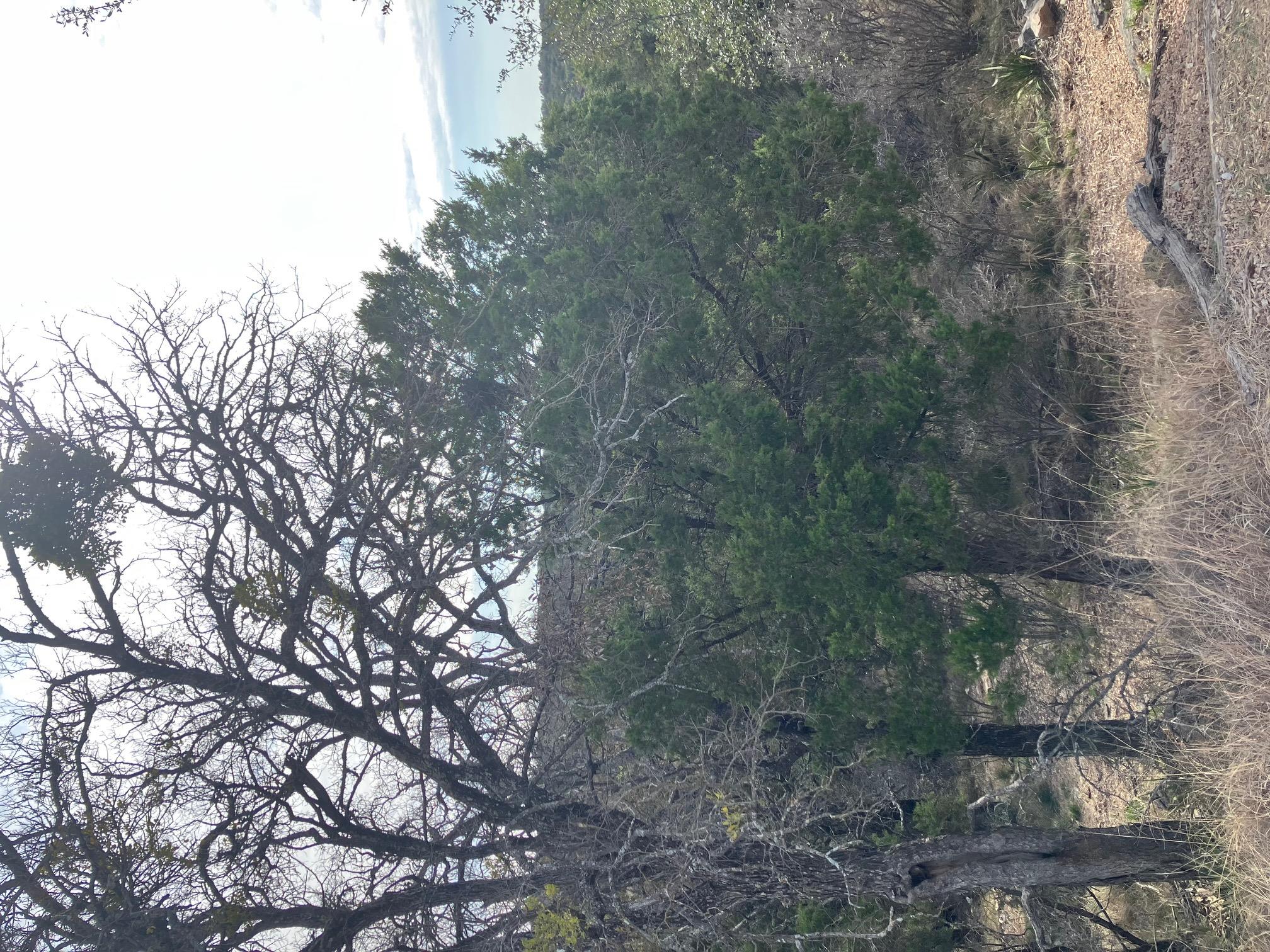 27125 HI Mesa, Horseshoe Bay, TX 78657