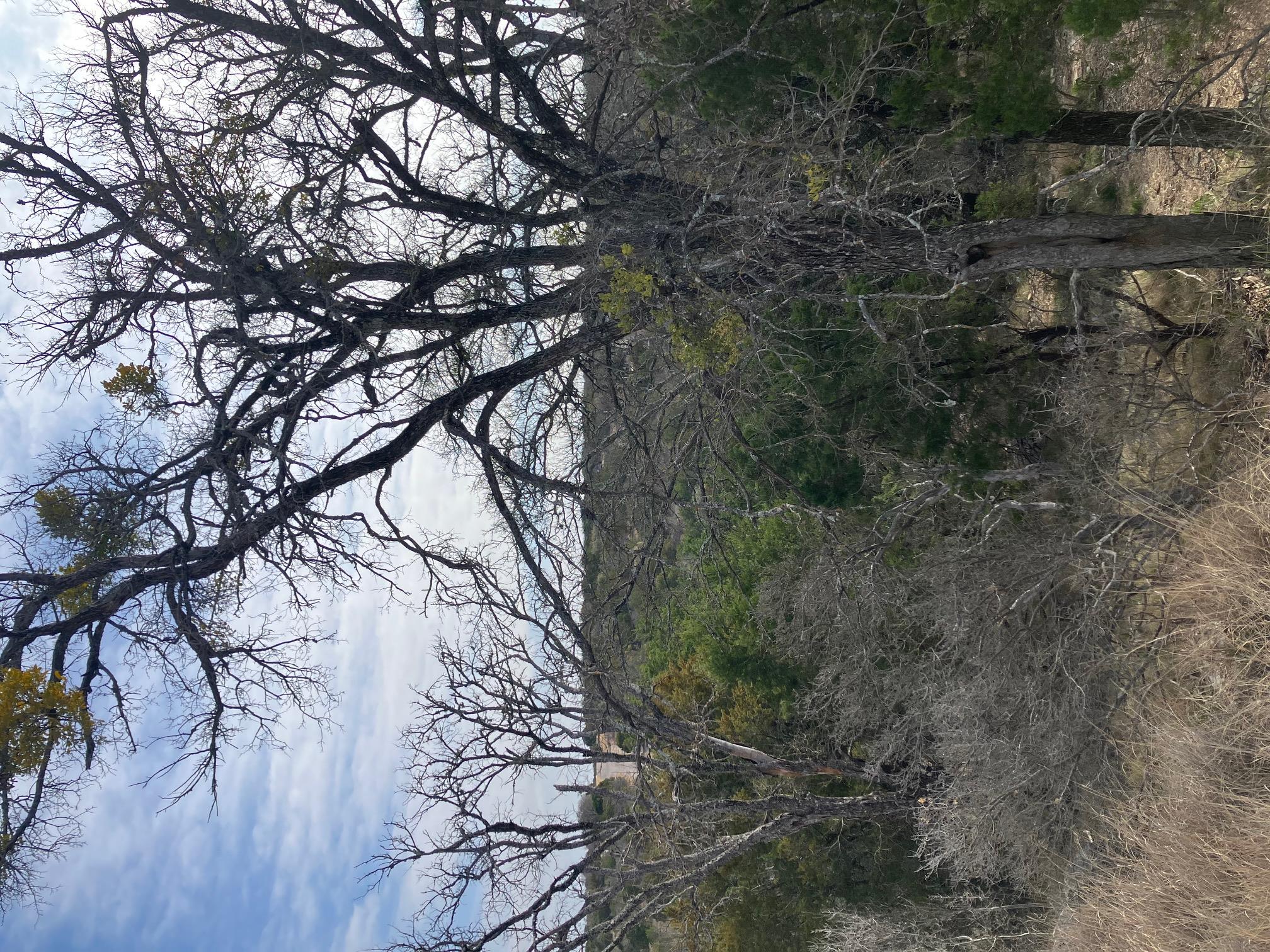 27125 HI Mesa, Horseshoe Bay, TX 78657