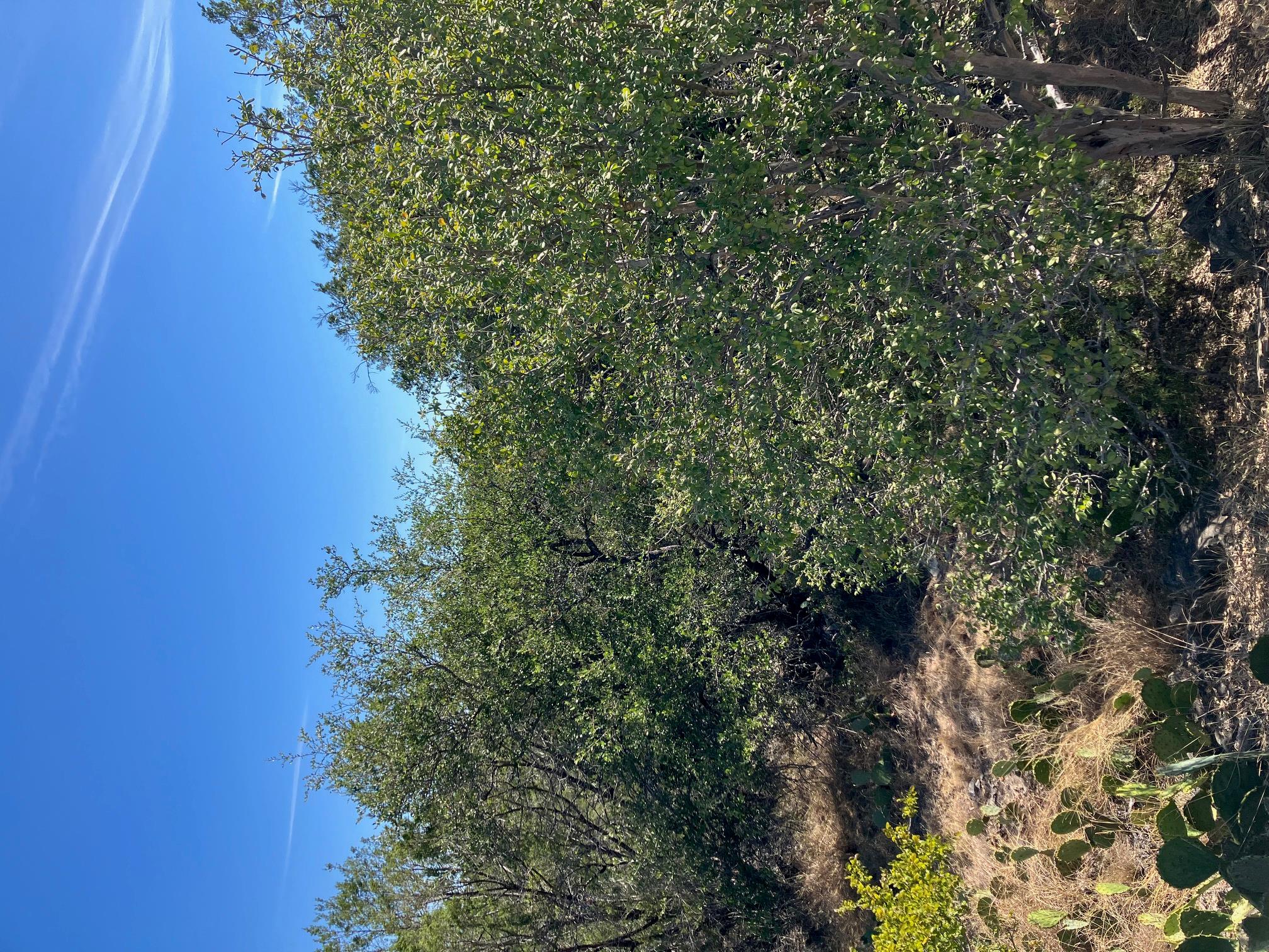 700 Pinto, Horseshoe Bay, TX 78657