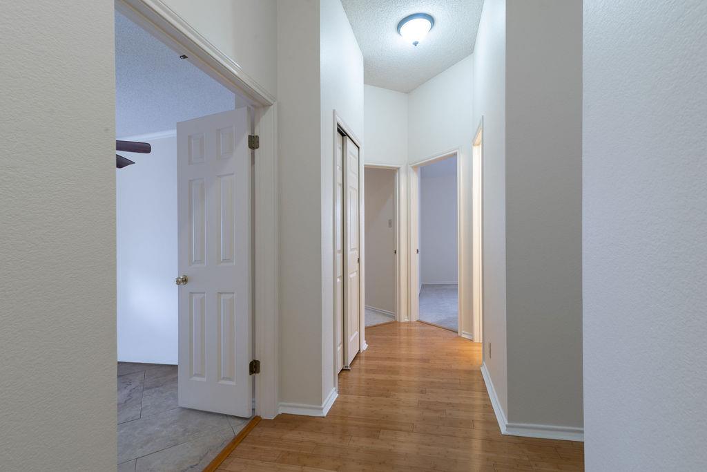 1012 Parrot Trl, Round Rock, TX 78681