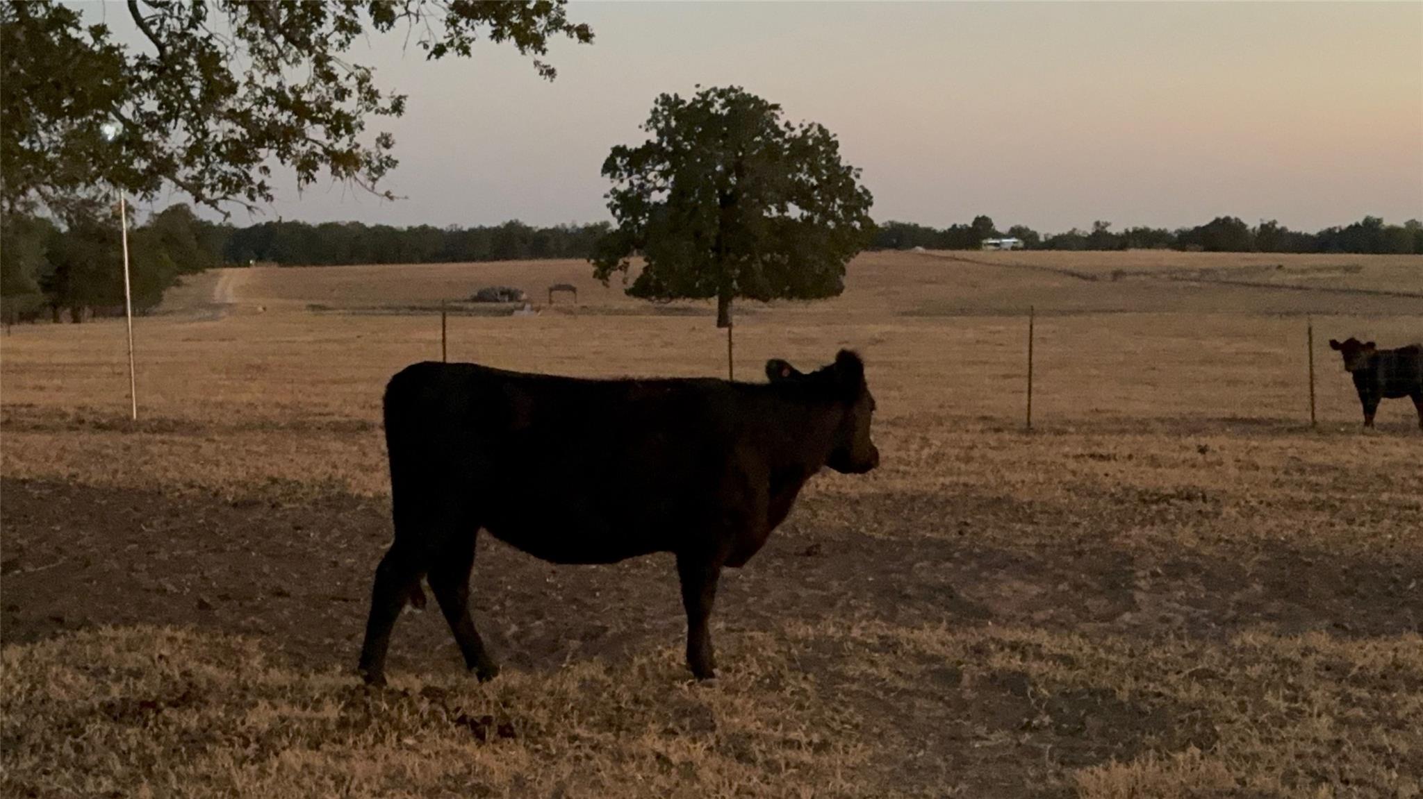 1835 County Road 325, Rockdale, TX 76567