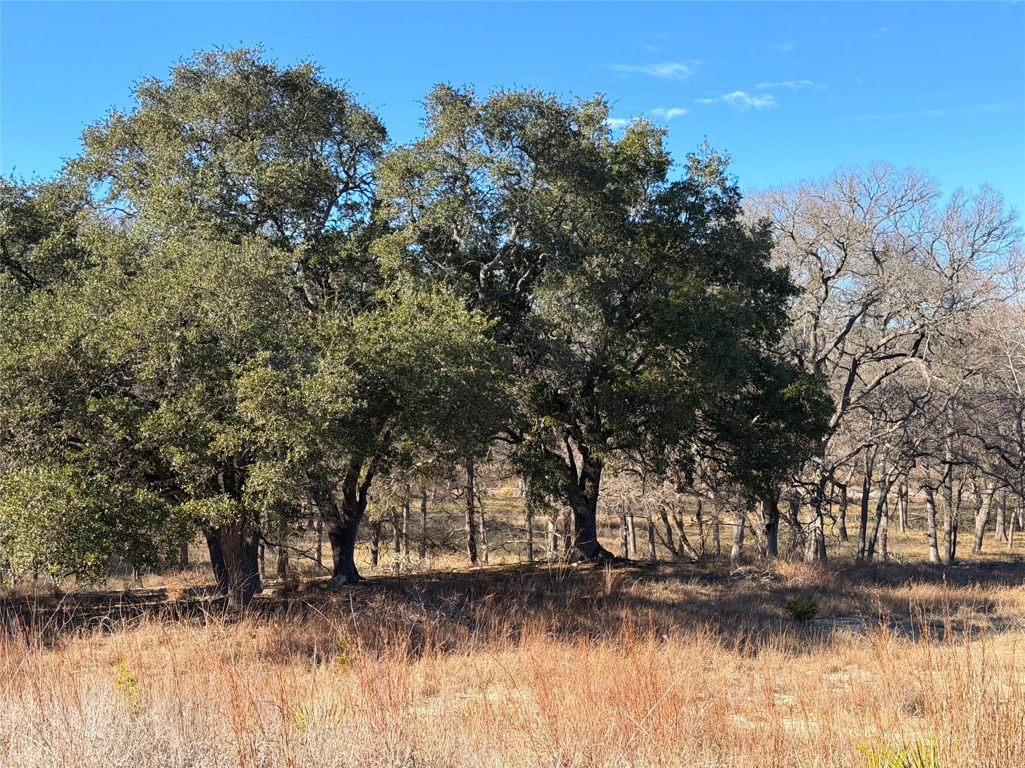 2162 Sierra Madre, Canyon Lake, TX 78133