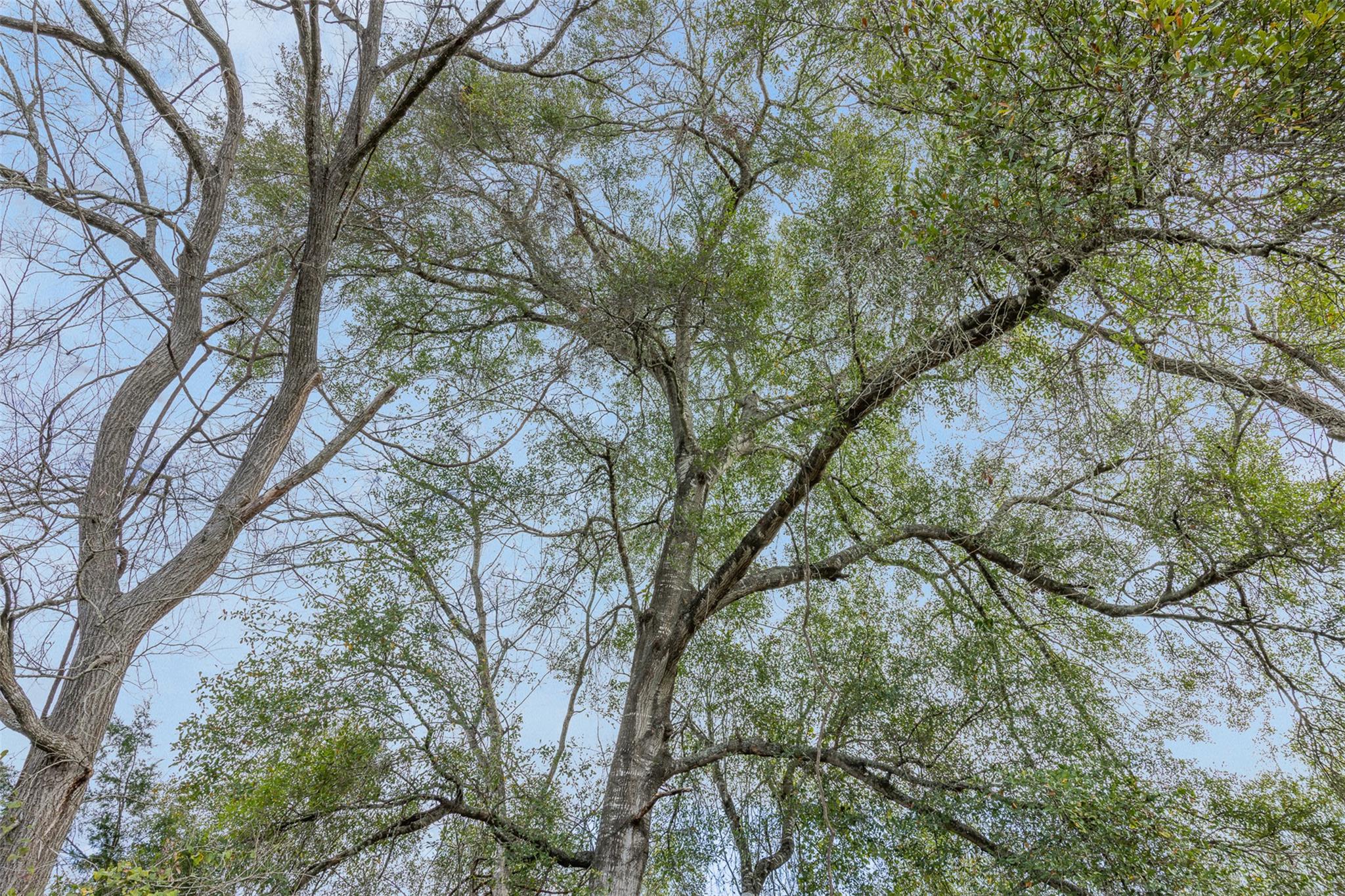 1820 South Old Smithville Rd, Flatonia, TX 78941