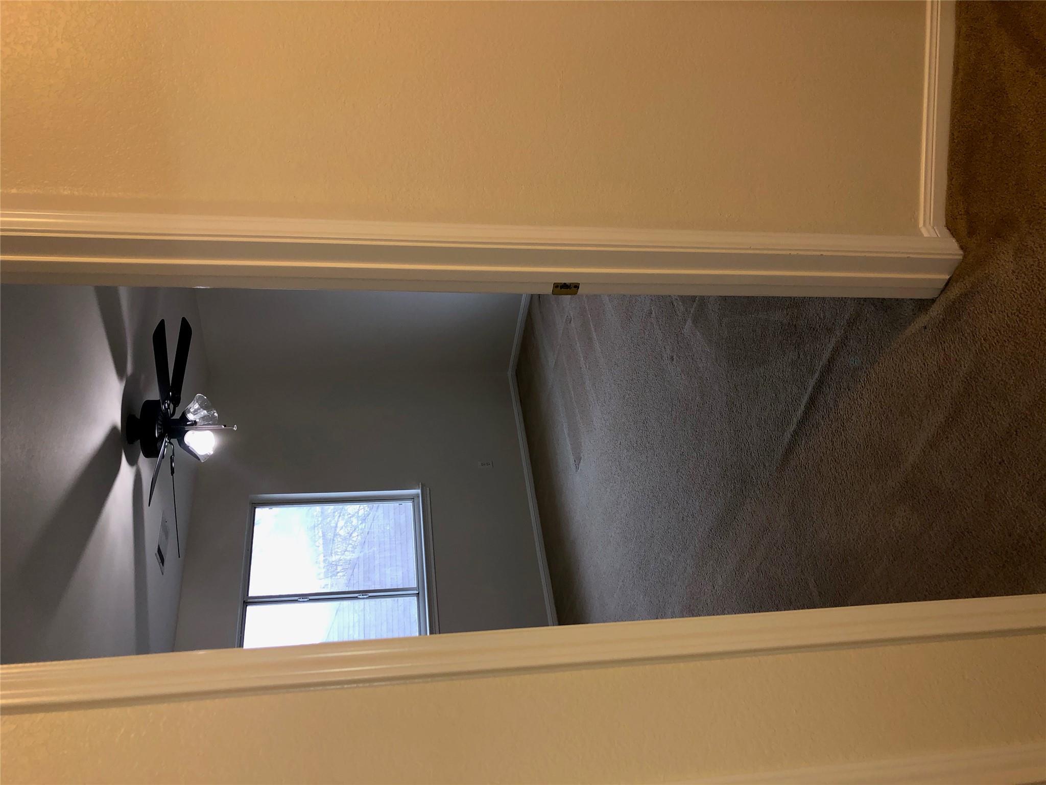 3604 Roller Crossing, Austin, TX 78728