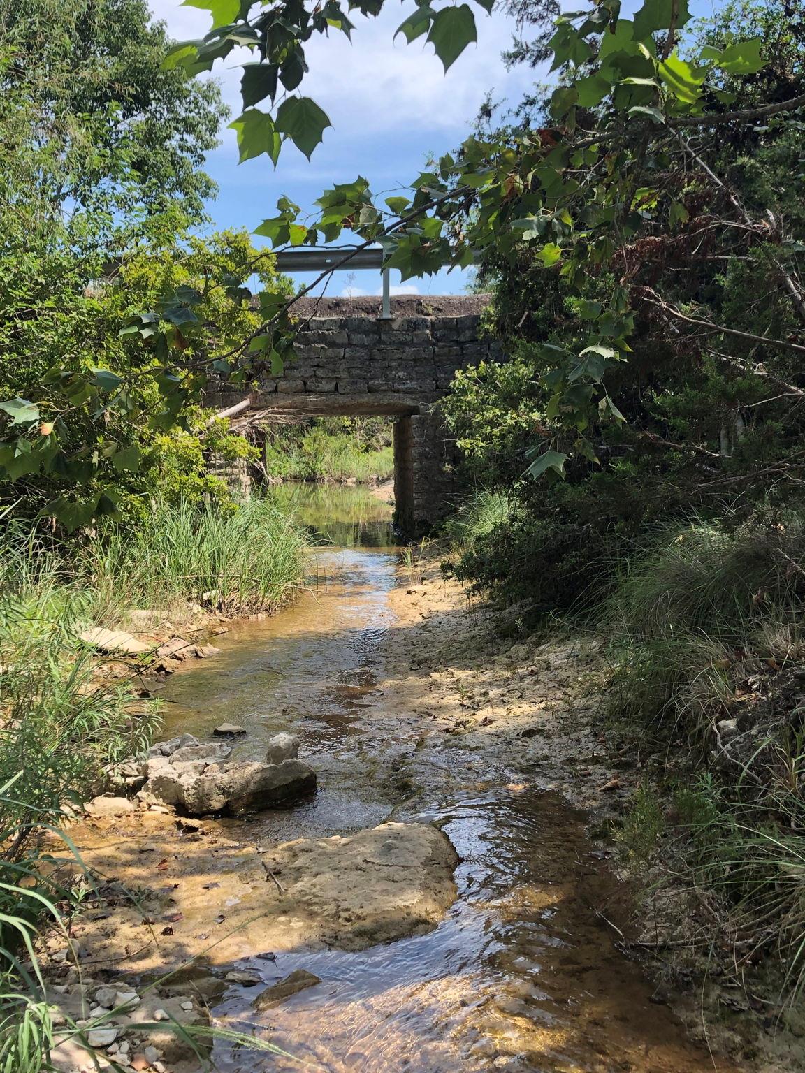 100 Dario Dr, Dripping Springs, TX 78620