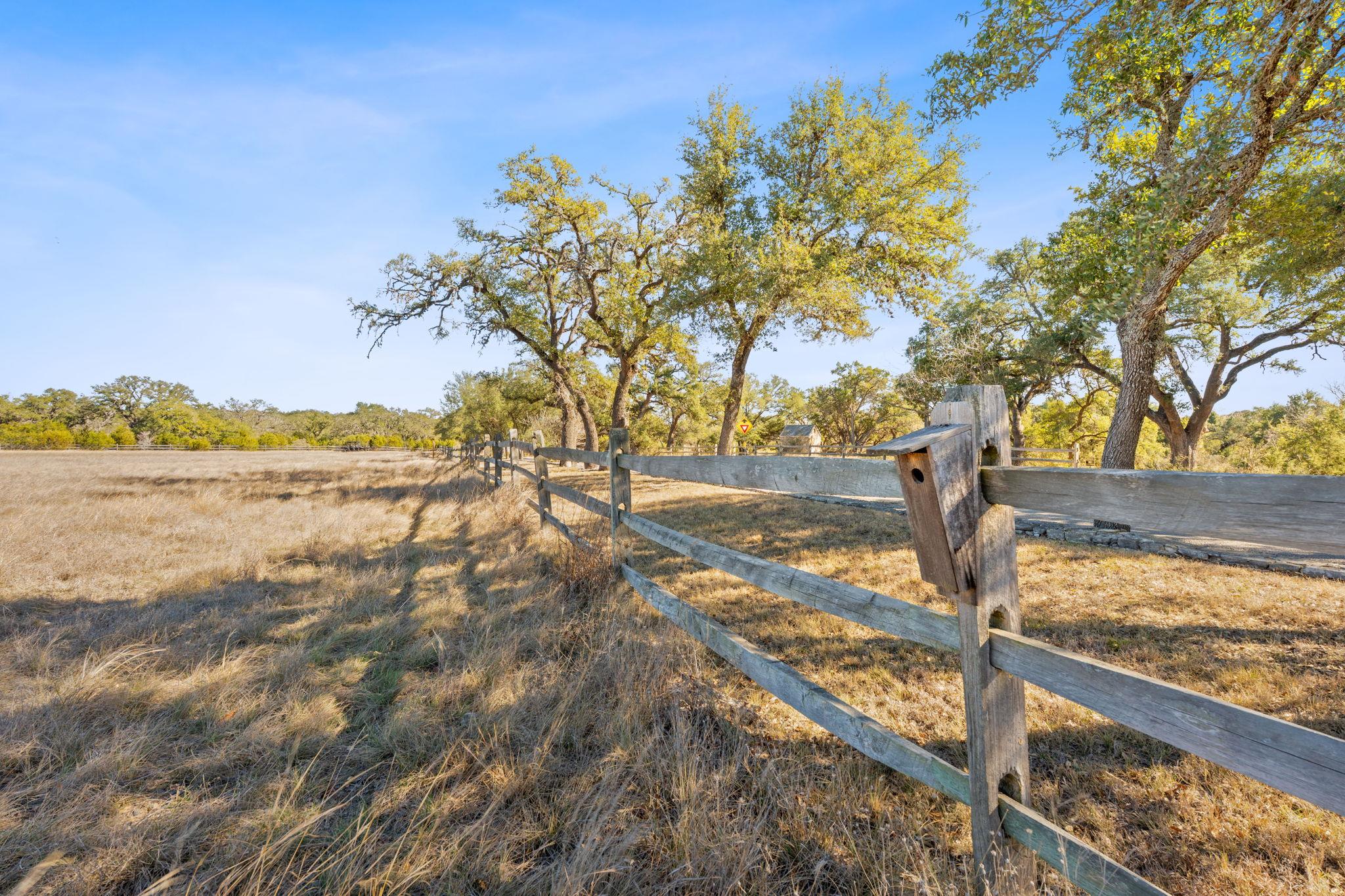 100 Dario Dr, Dripping Springs, TX 78620