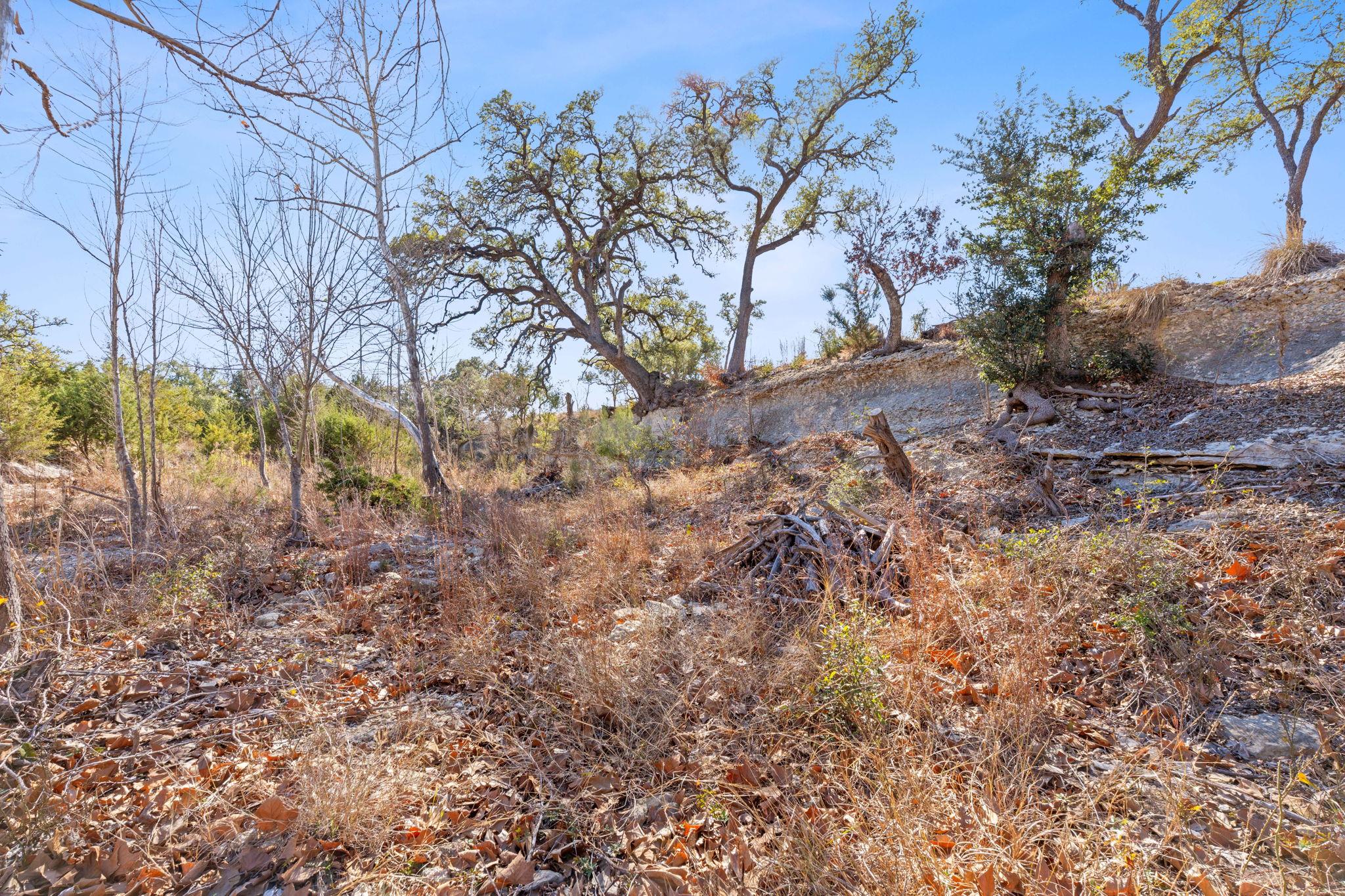 100 Dario Dr, Dripping Springs, TX 78620