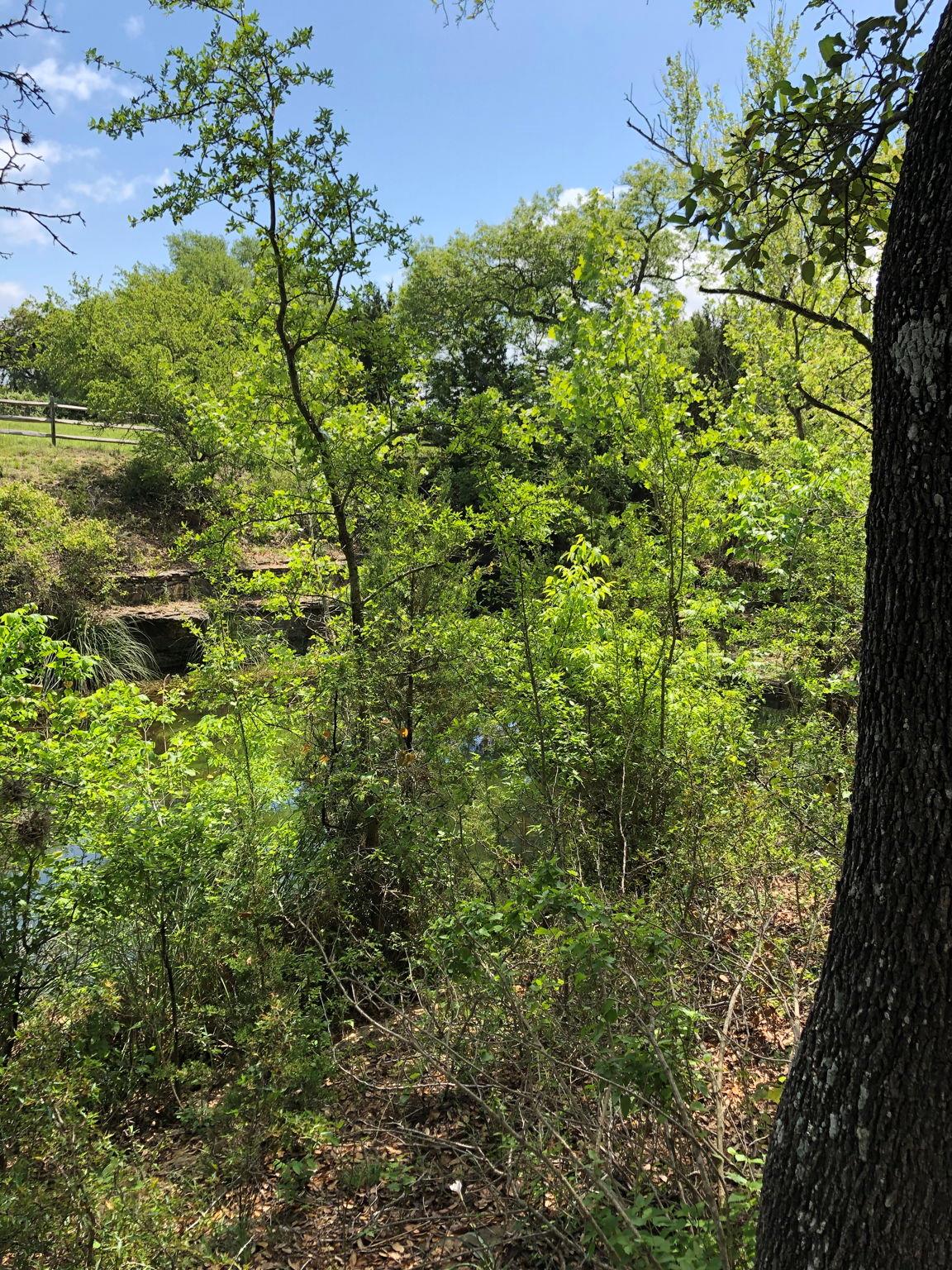 100 Dario Dr, Dripping Springs, TX 78620