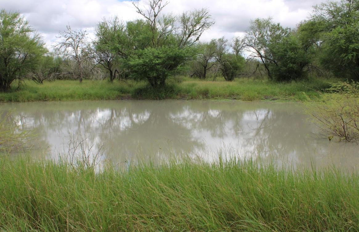 375 W County Road 401 Rd, Premont, TX 78355