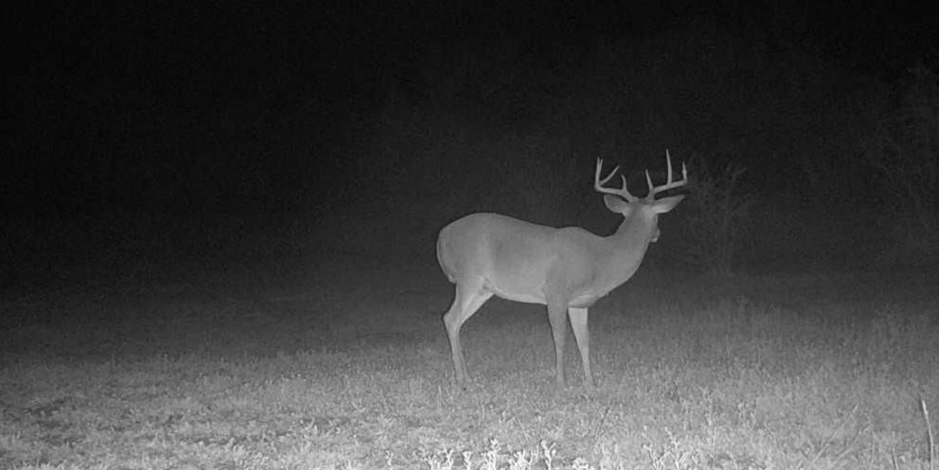 375 W County Road 401 Rd, Premont, TX 78355