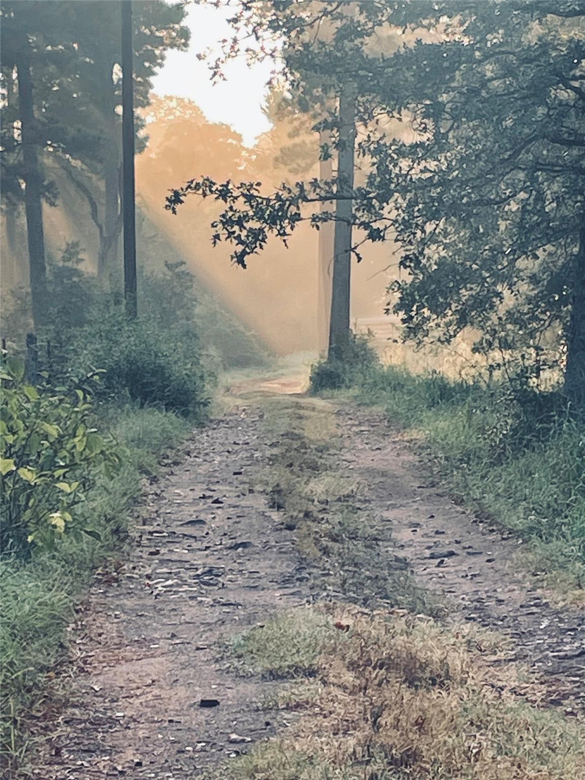 000 Copeland Hill Rd # 3-C, Smithville, TX 78957