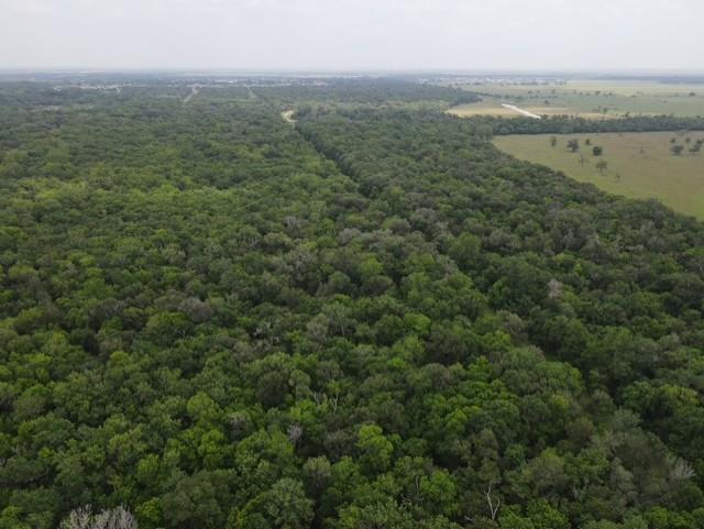 568 CR Rd, Rosharon, TX 77583