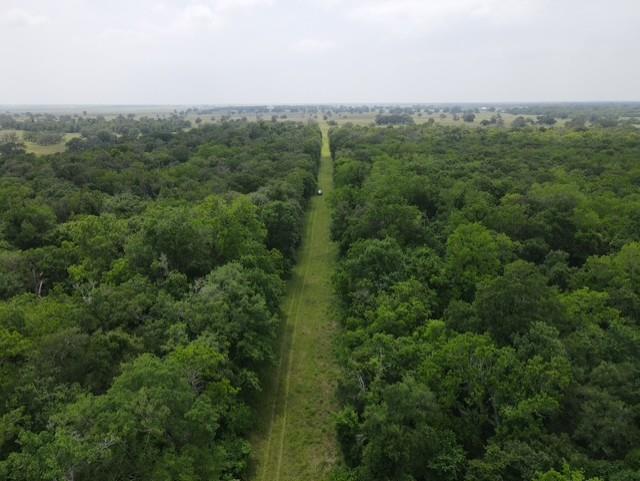 568 CR Rd, Rosharon, TX 77583