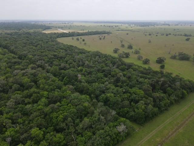 568 CR Rd, Rosharon, TX 77583