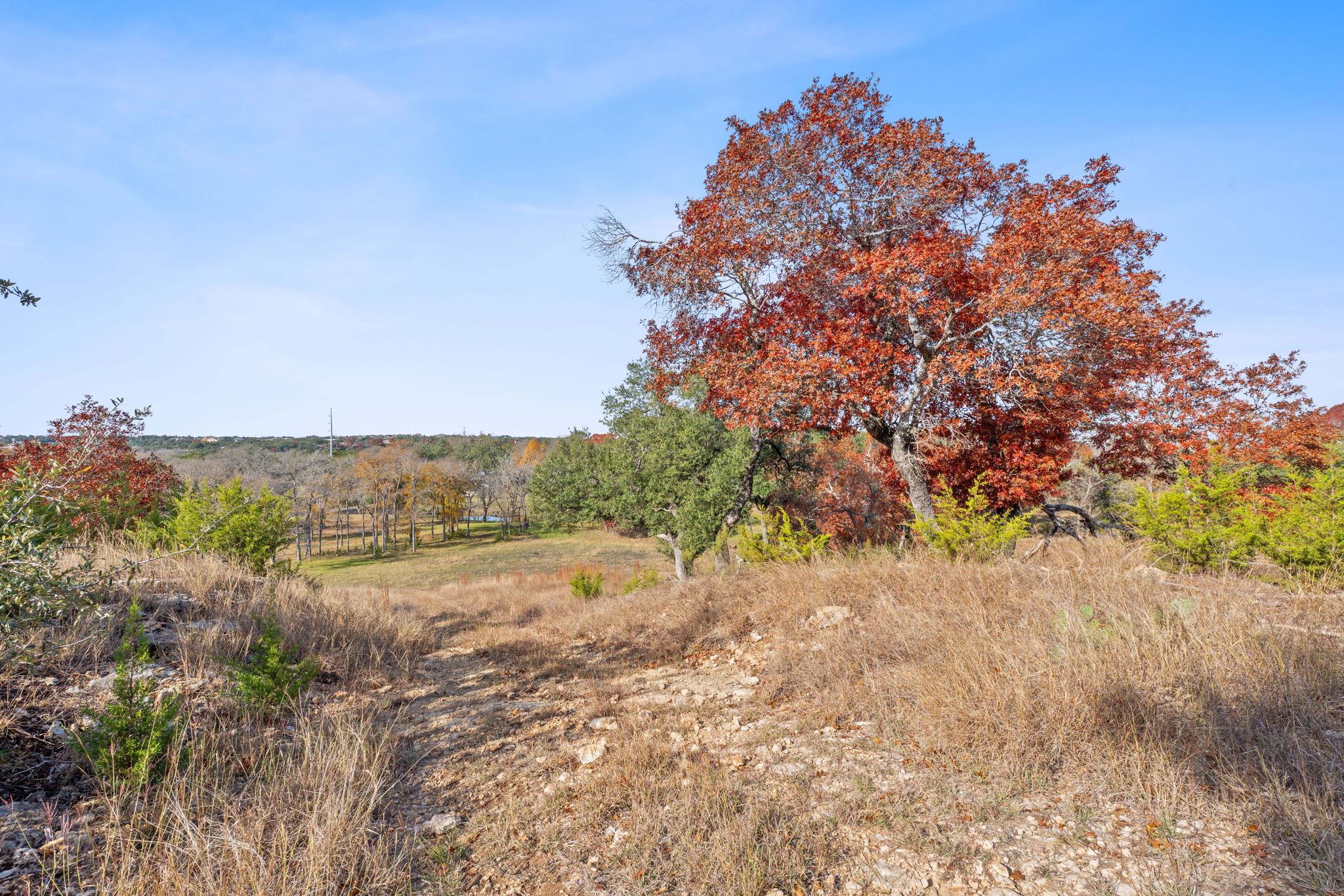 801 Needham Rd, Dripping Springs, TX 78620