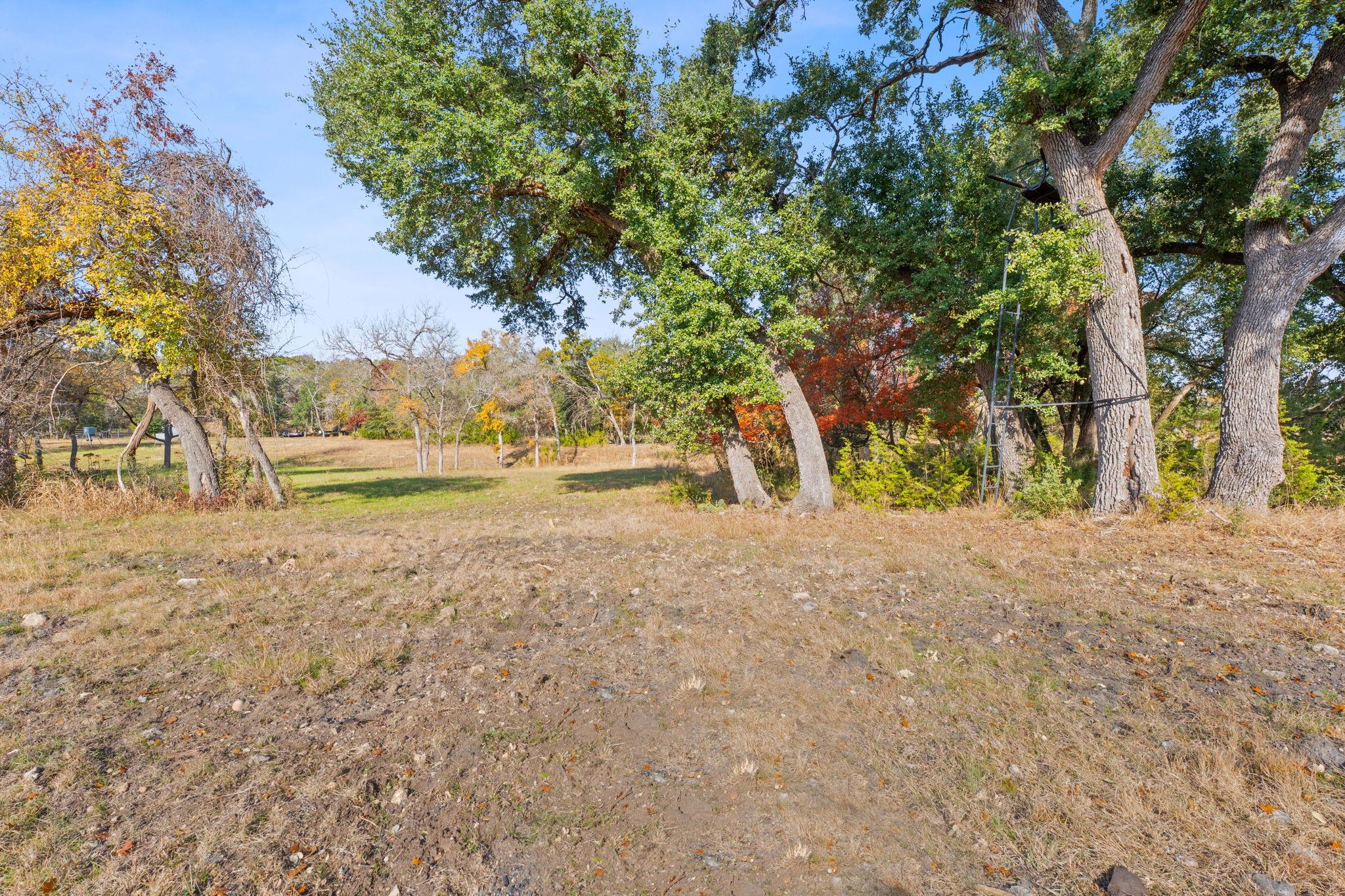 801 Needham Rd, Dripping Springs, TX 78620