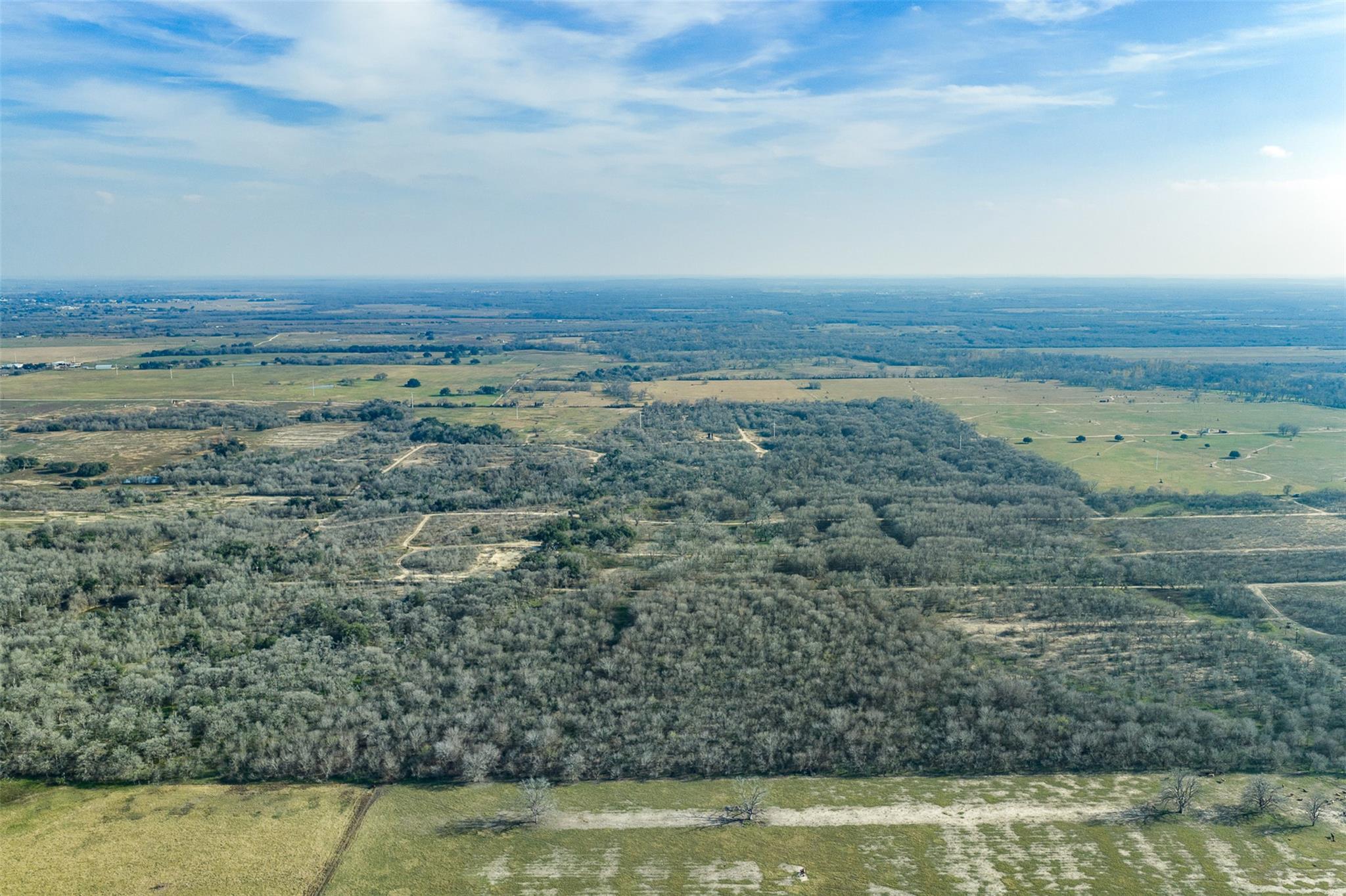 1144 Treetop Ln, Luling, TX 78648