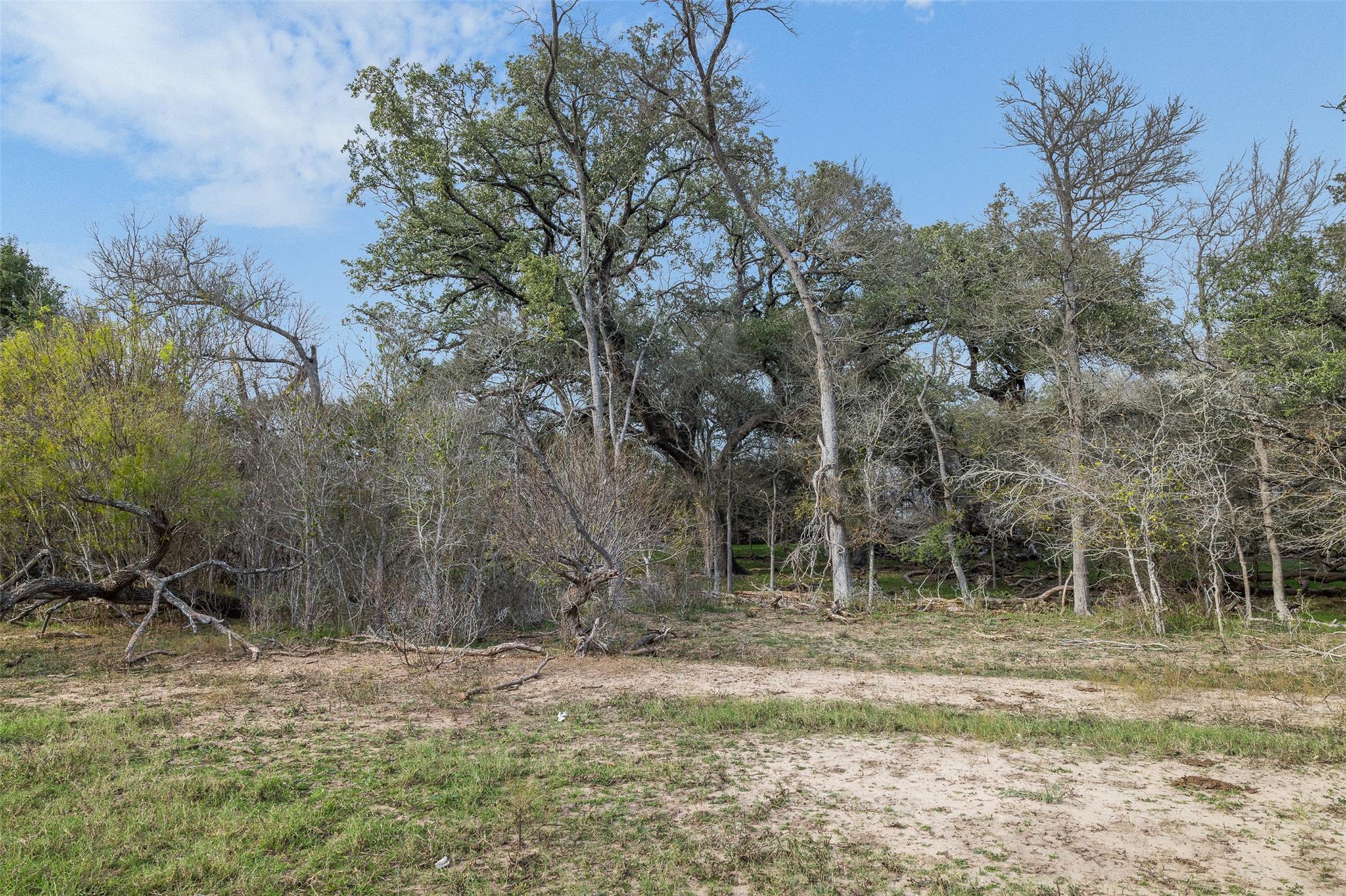 1144 Treetop Ln, Luling, TX 78648