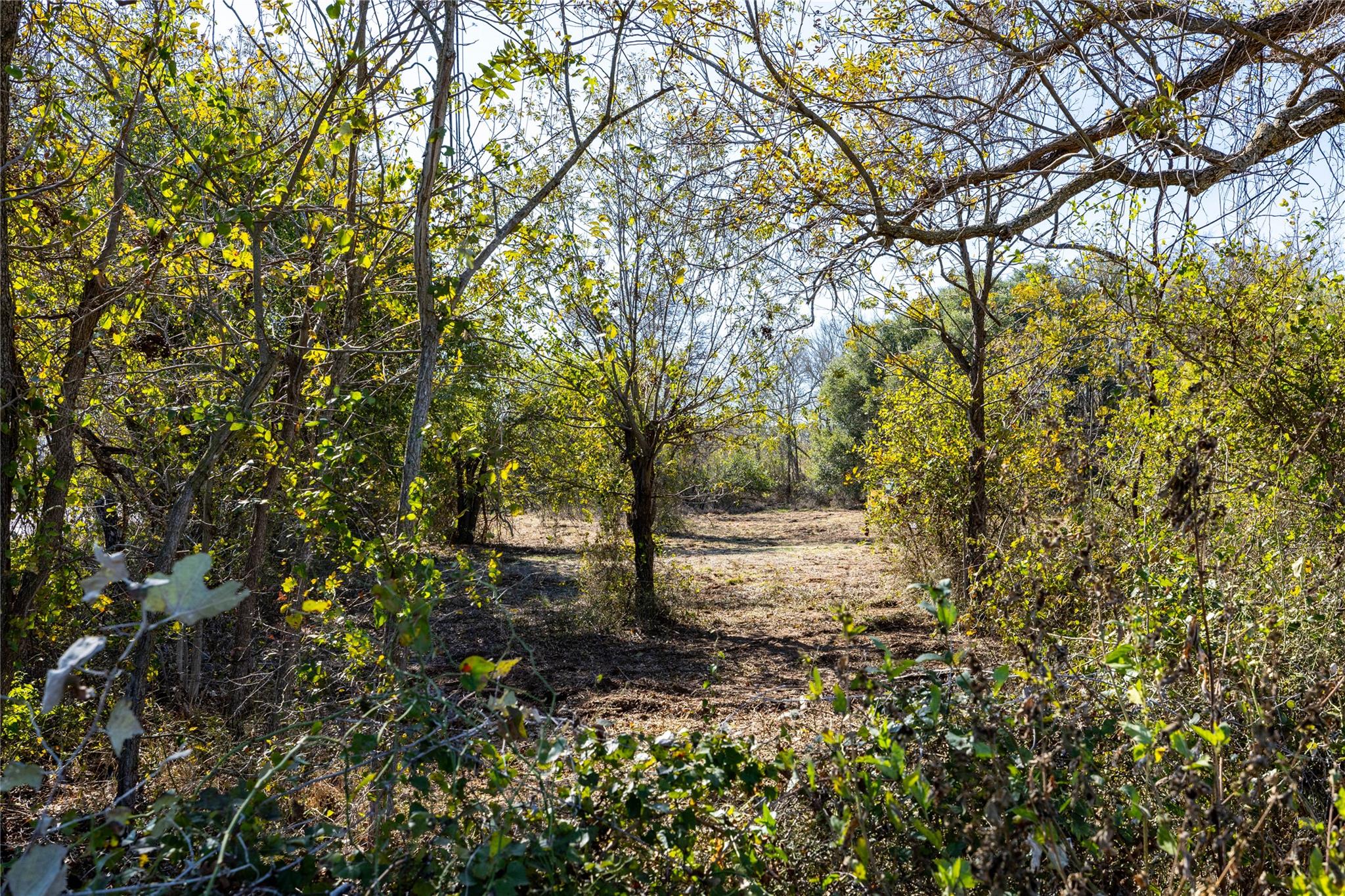 6635 S US HIGHWAY 183, Lockhart, TX 78644