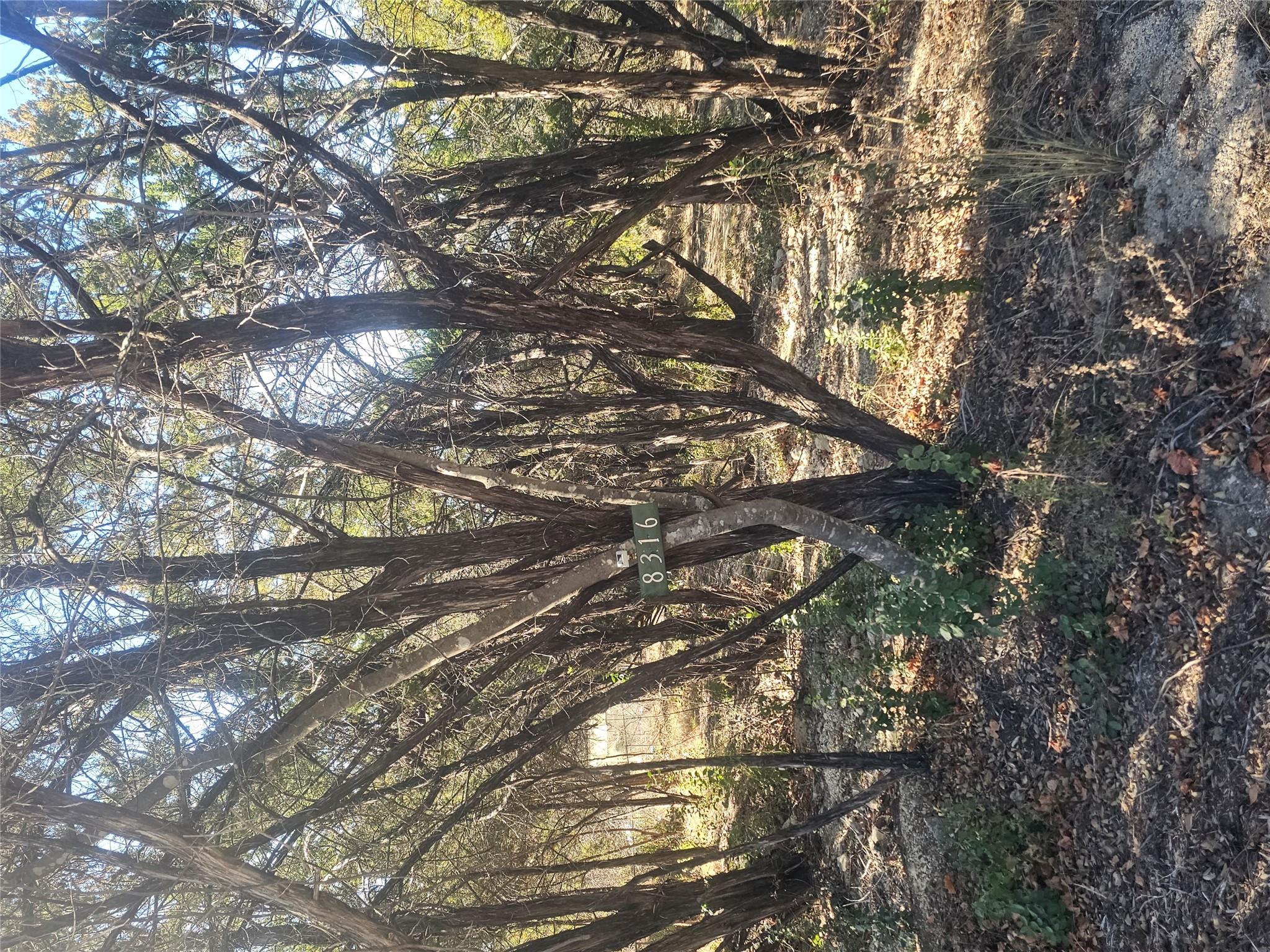 8316 Bronco Ln, Lago Vista, TX 78645