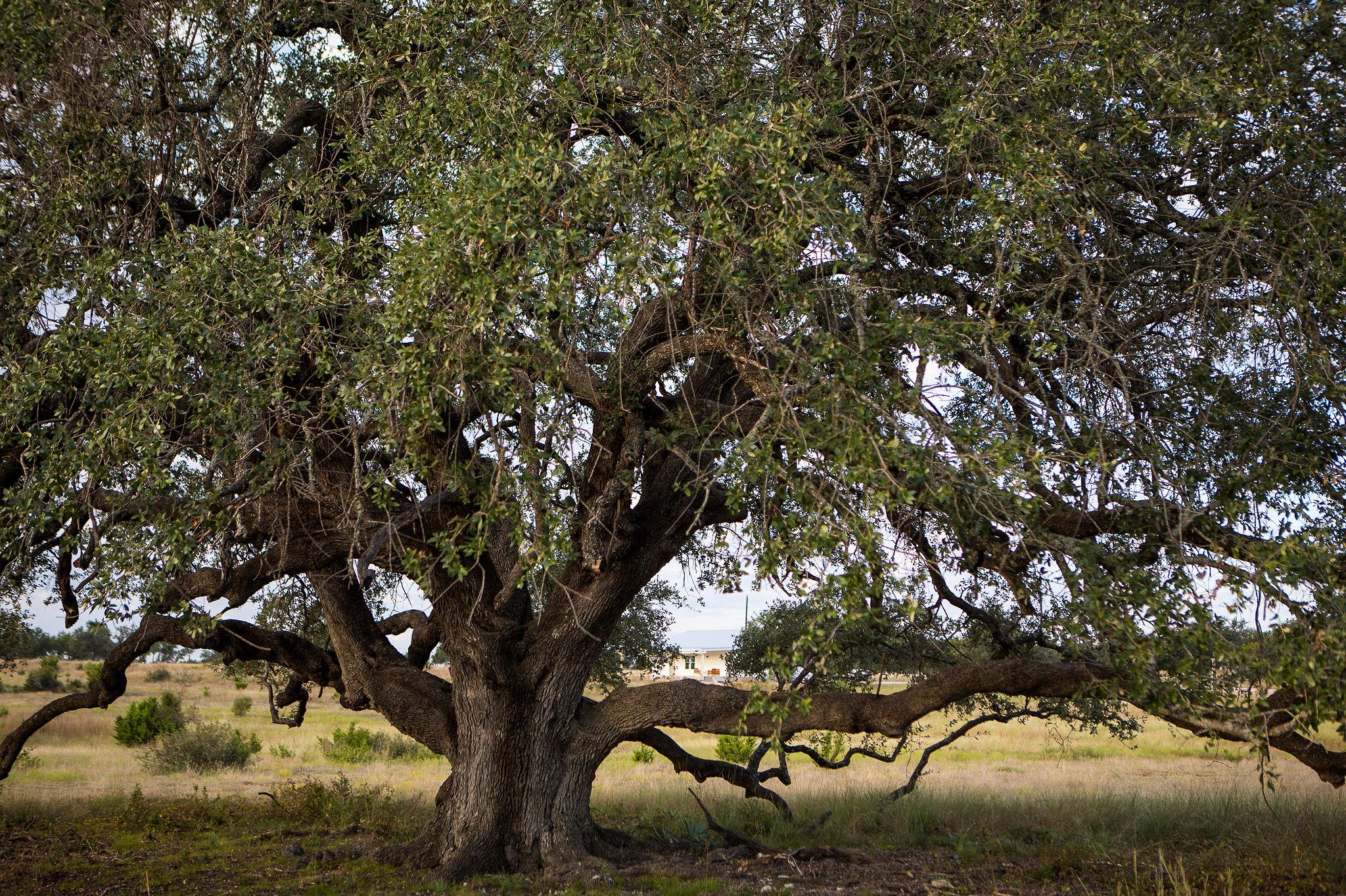 0 Vaquero Vista Trl, Lampasas, TX 76550