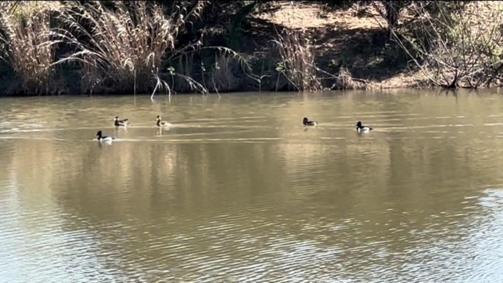 TBD Wetjen LN., West Point, TX 78963