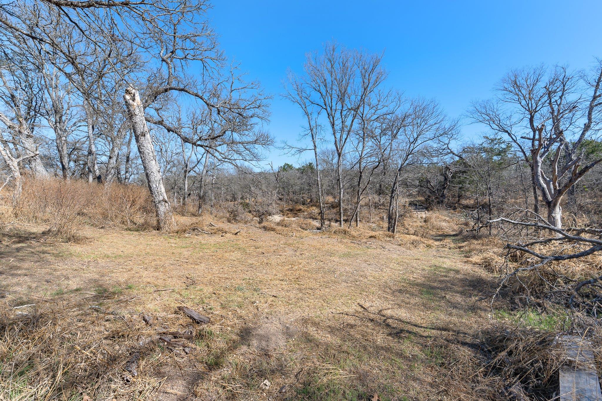 145 River Rd, Liberty Hill, TX 78642