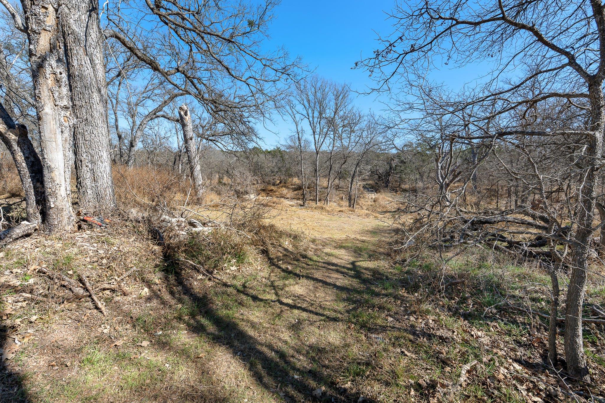 145 River Rd, Liberty Hill, TX 78642