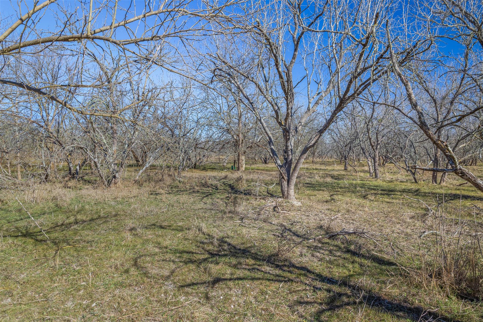 5225 FM 2001, Buda, TX 78610