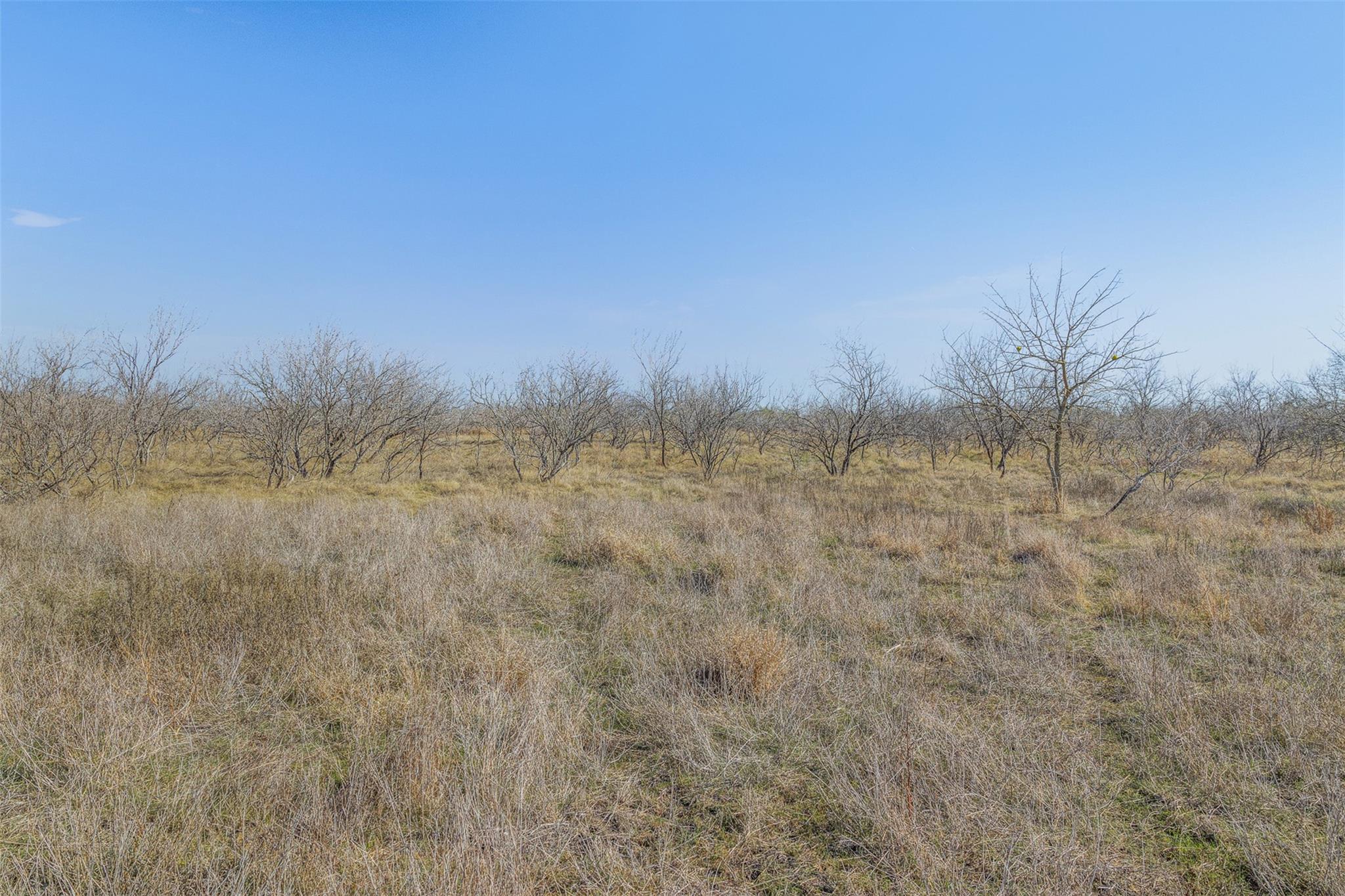 5225 FM 2001, Buda, TX 78610