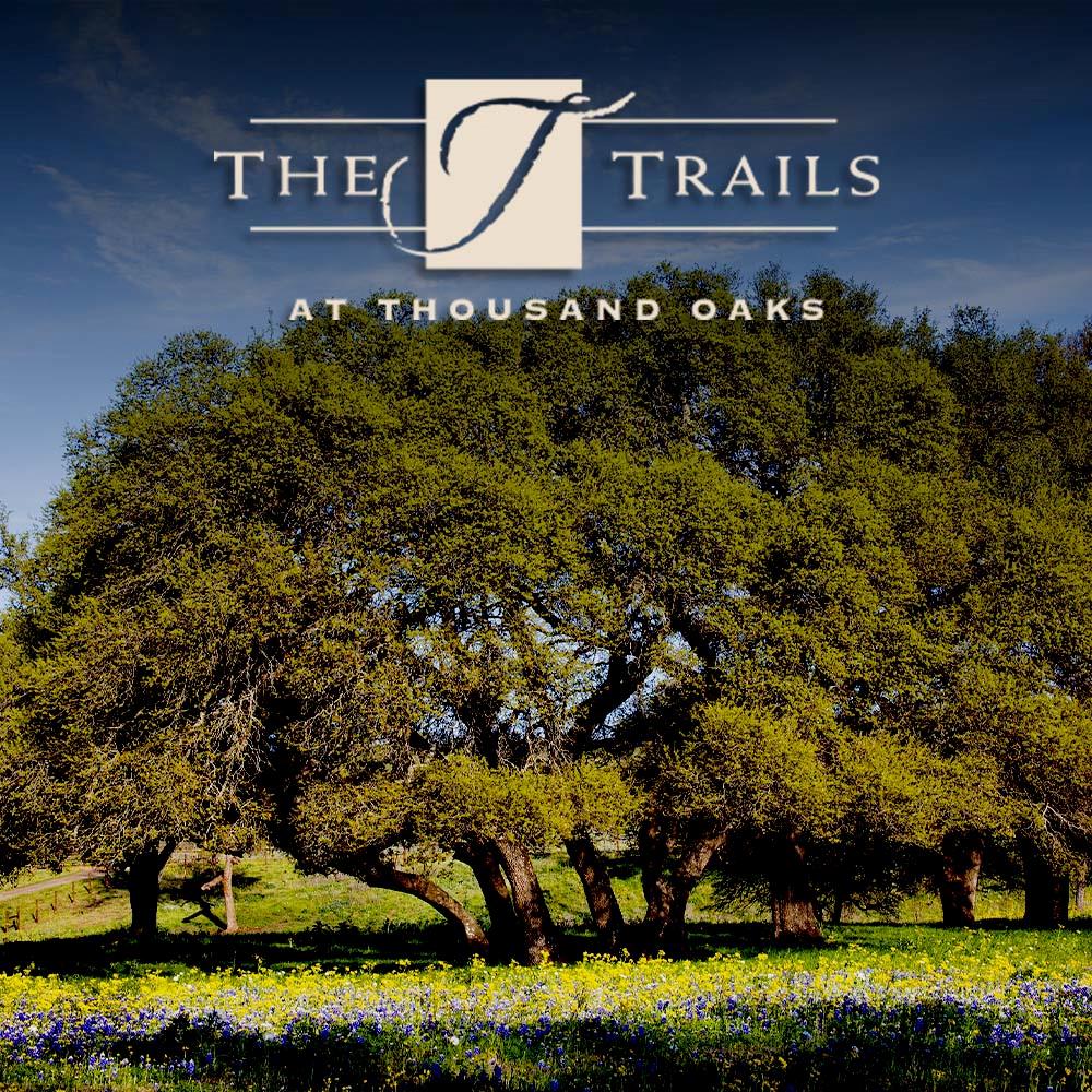 145 Red Hawk Dr, Marble Falls, TX 78663