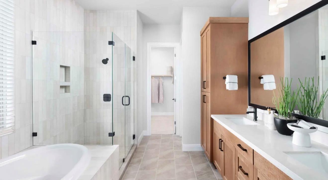 253 Prickly Poppy Loop, Kyle, TX 78640