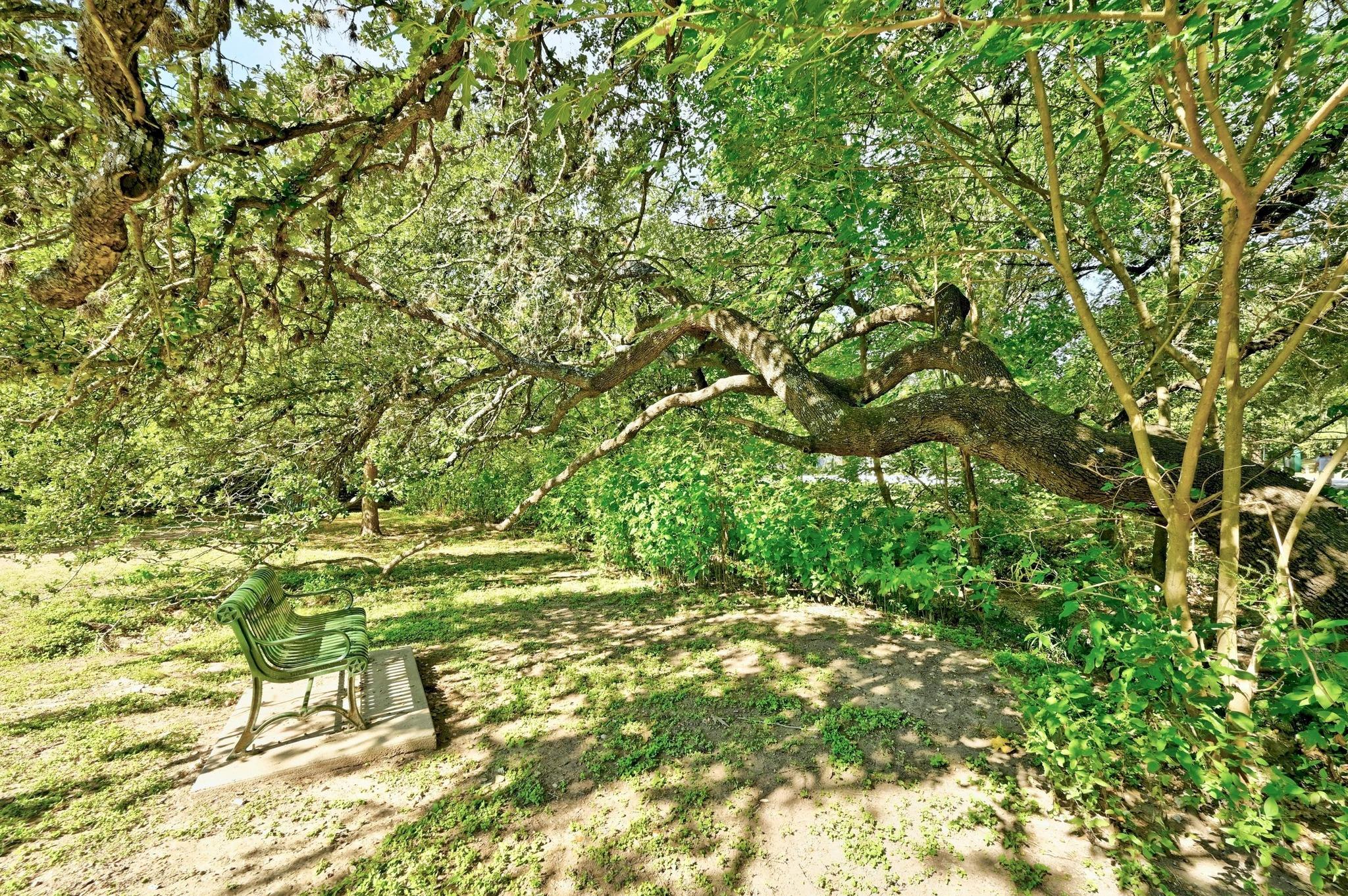 2716 Hillview Green Ln, Austin, TX 78703