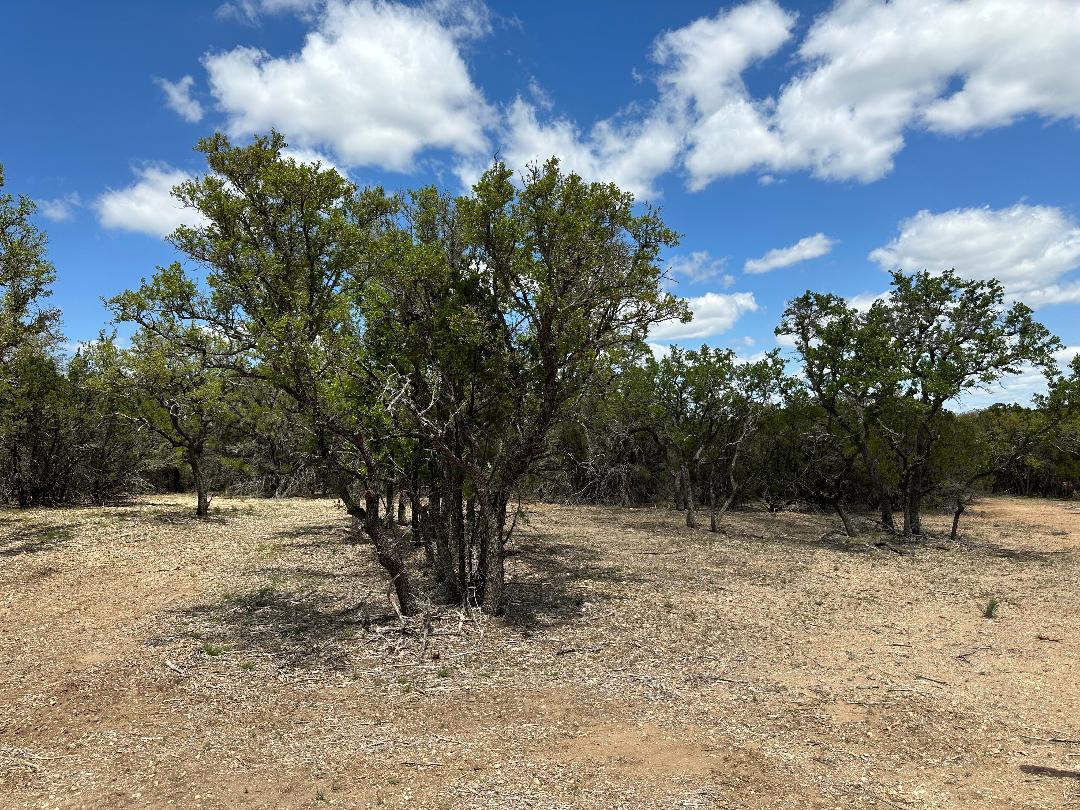 TBD County Road 529, Mullin, TX 76864