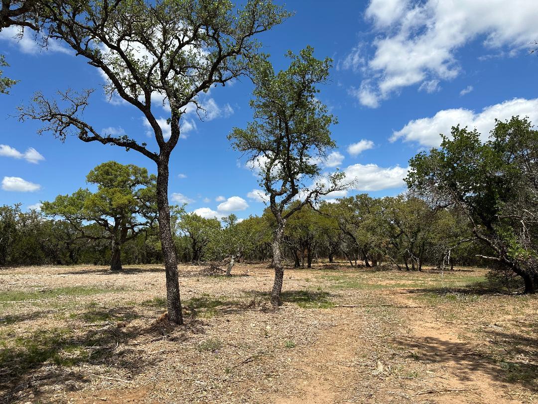 TBD County Road 529, Mullin, TX 76864