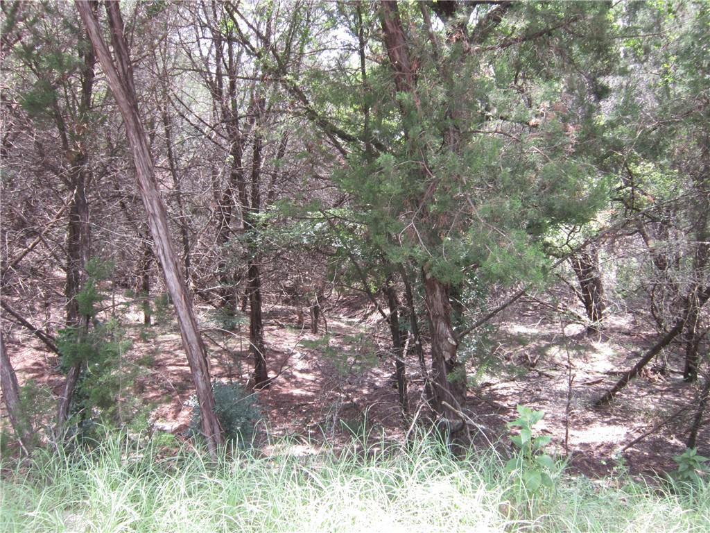 20607 El Dorado, Lago Vista, TX 78645